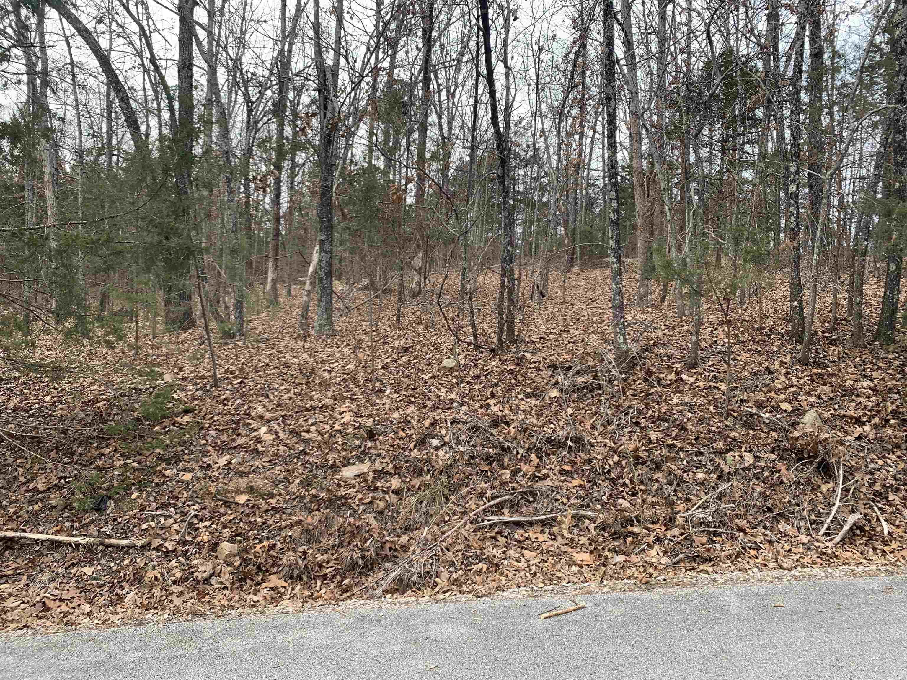 010-05456-000 McCain Drive  Mountain Home, AR