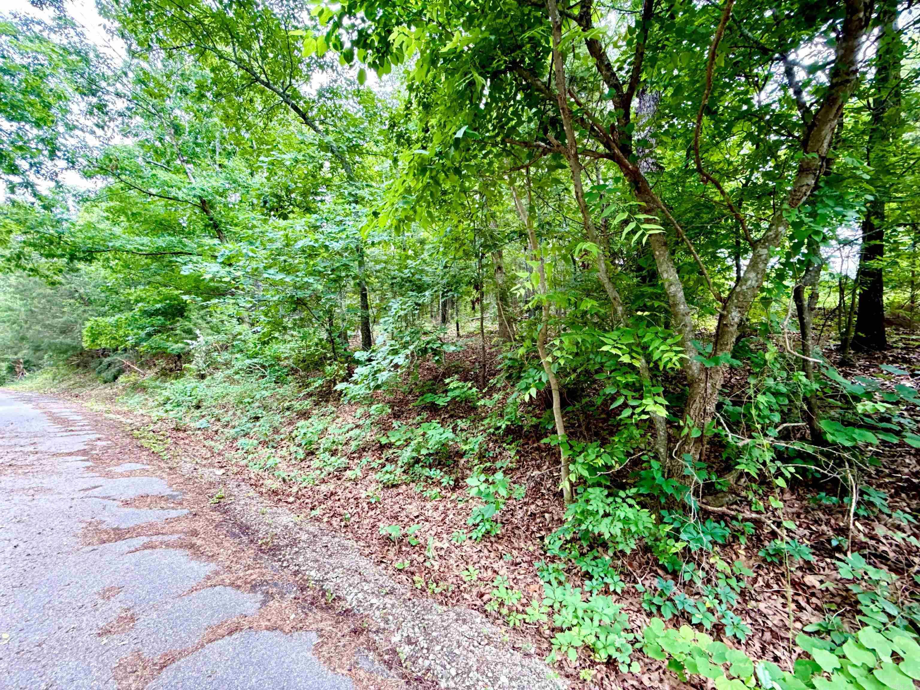 010-05456-000 Hwy 5 South  Briarcliff, AR