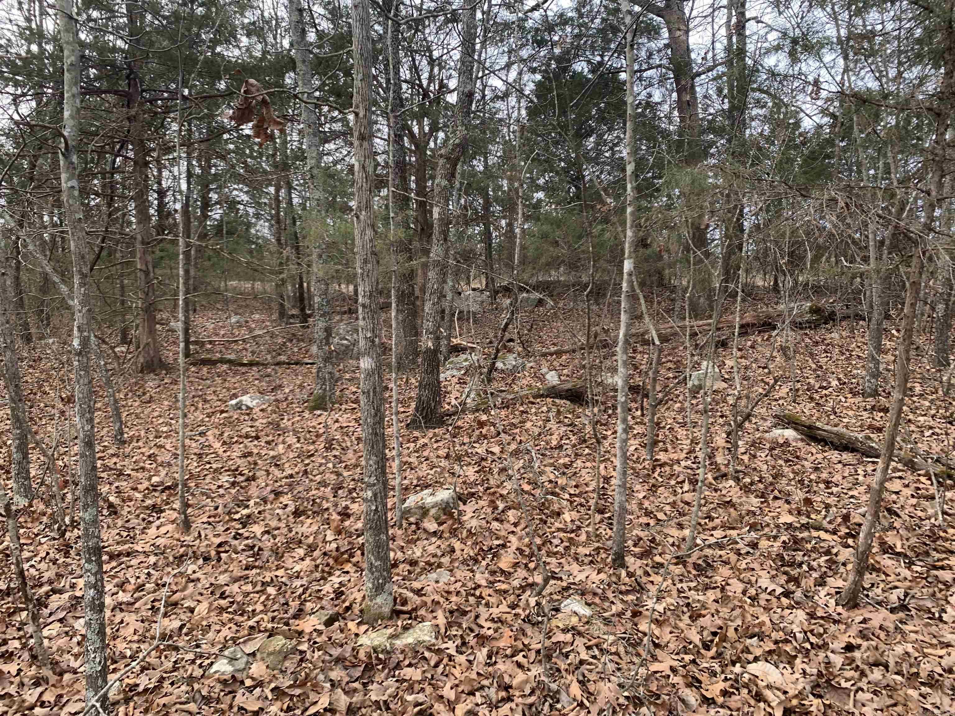 010-05456-000 McCain Drive  Mountain Home, AR