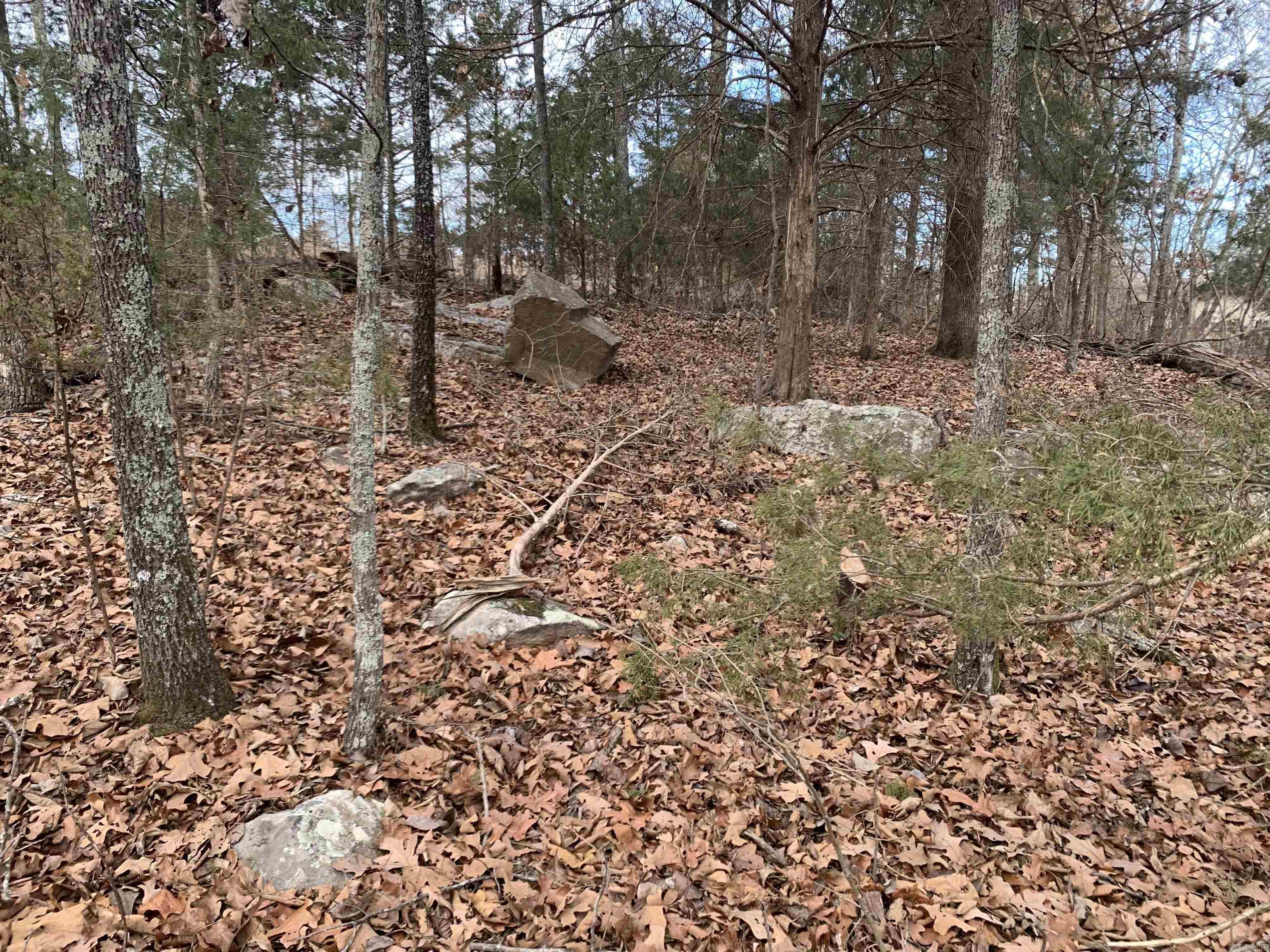 010-05456-000 McCain Drive  Mountain Home, AR