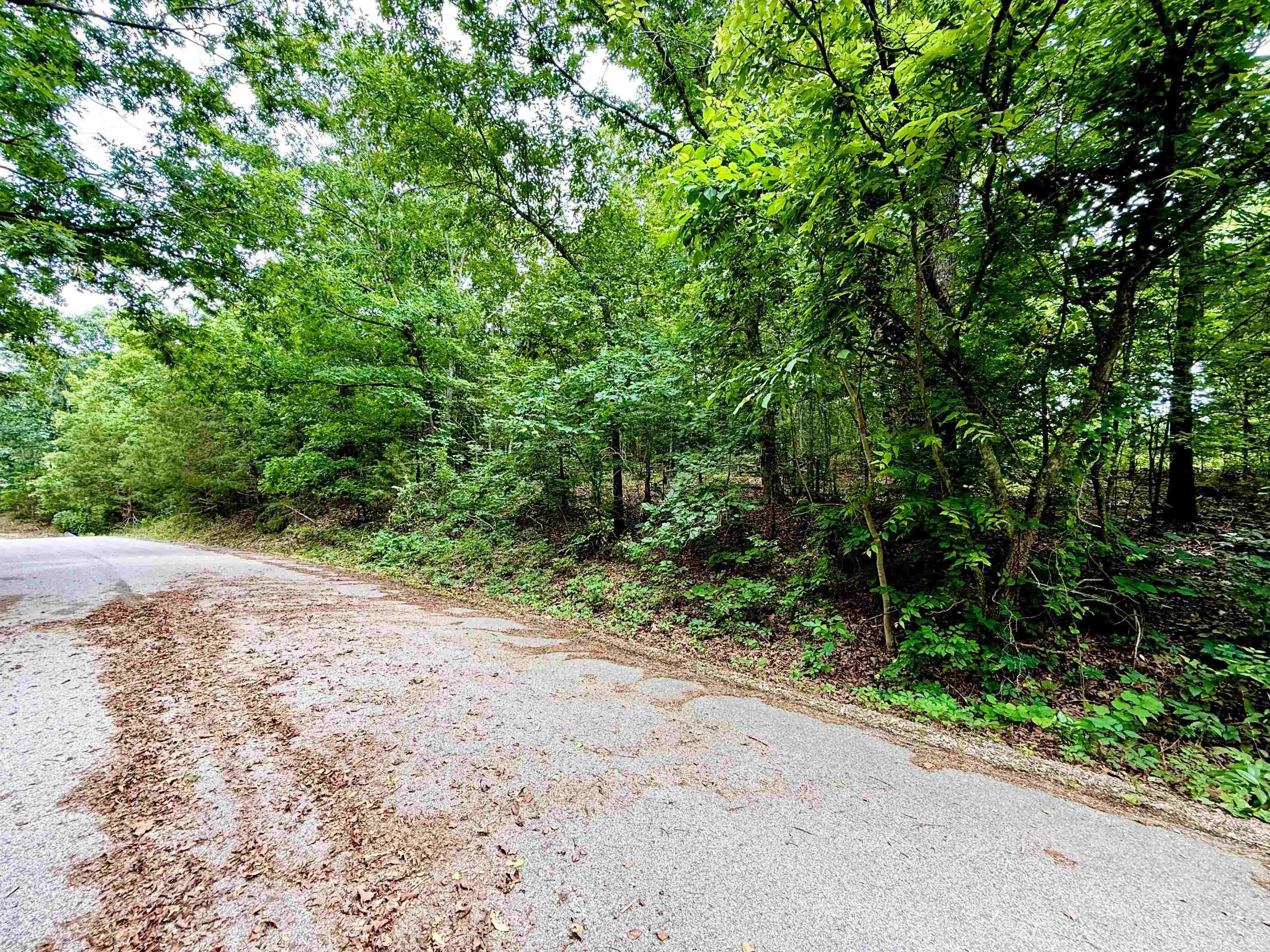 010-05456-000 Hwy 5 South  Briarcliff, AR