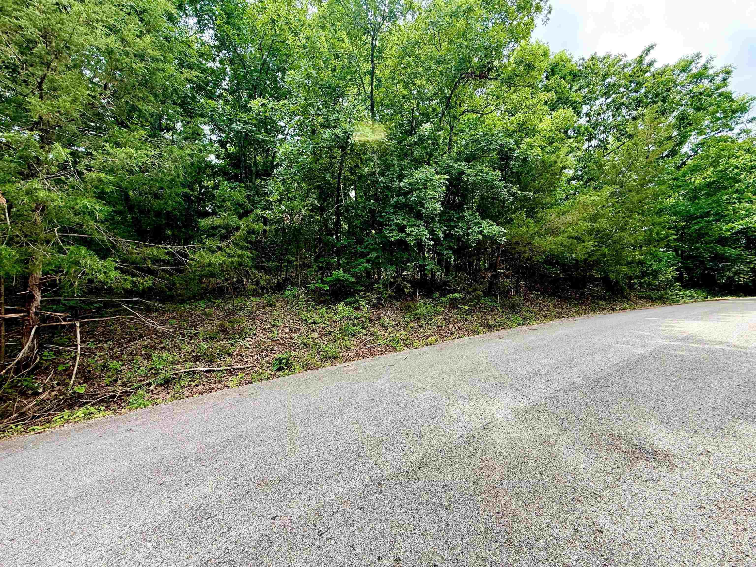 010-05456-000 Hwy 5 South  Briarcliff, AR