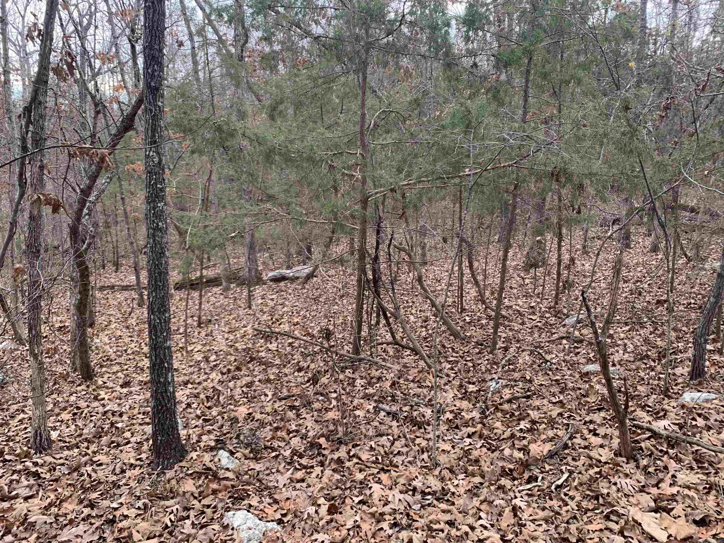 010-05456-000 McCain Drive  Mountain Home, AR