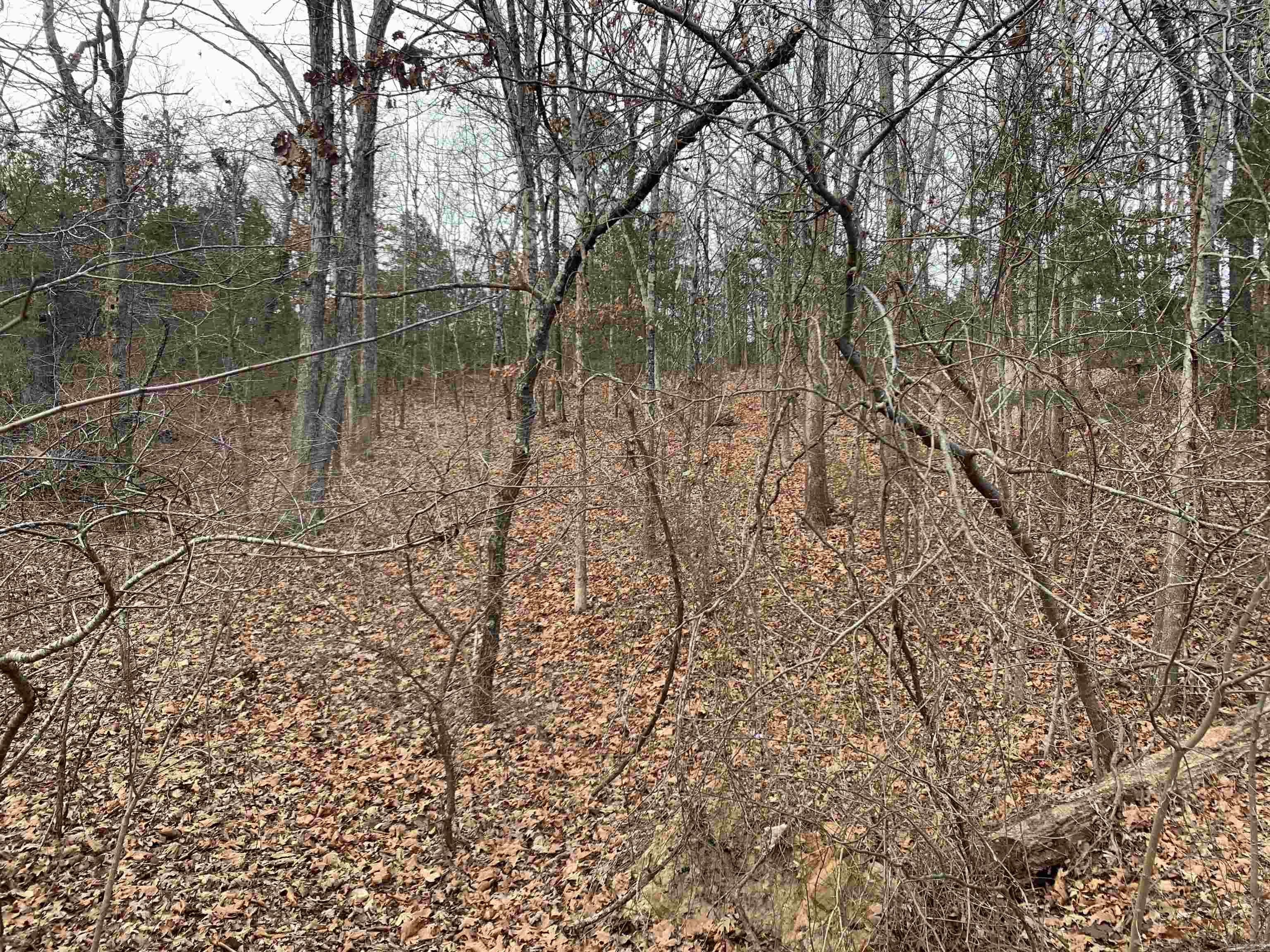 010-05456-000 McCain Drive  Mountain Home, AR