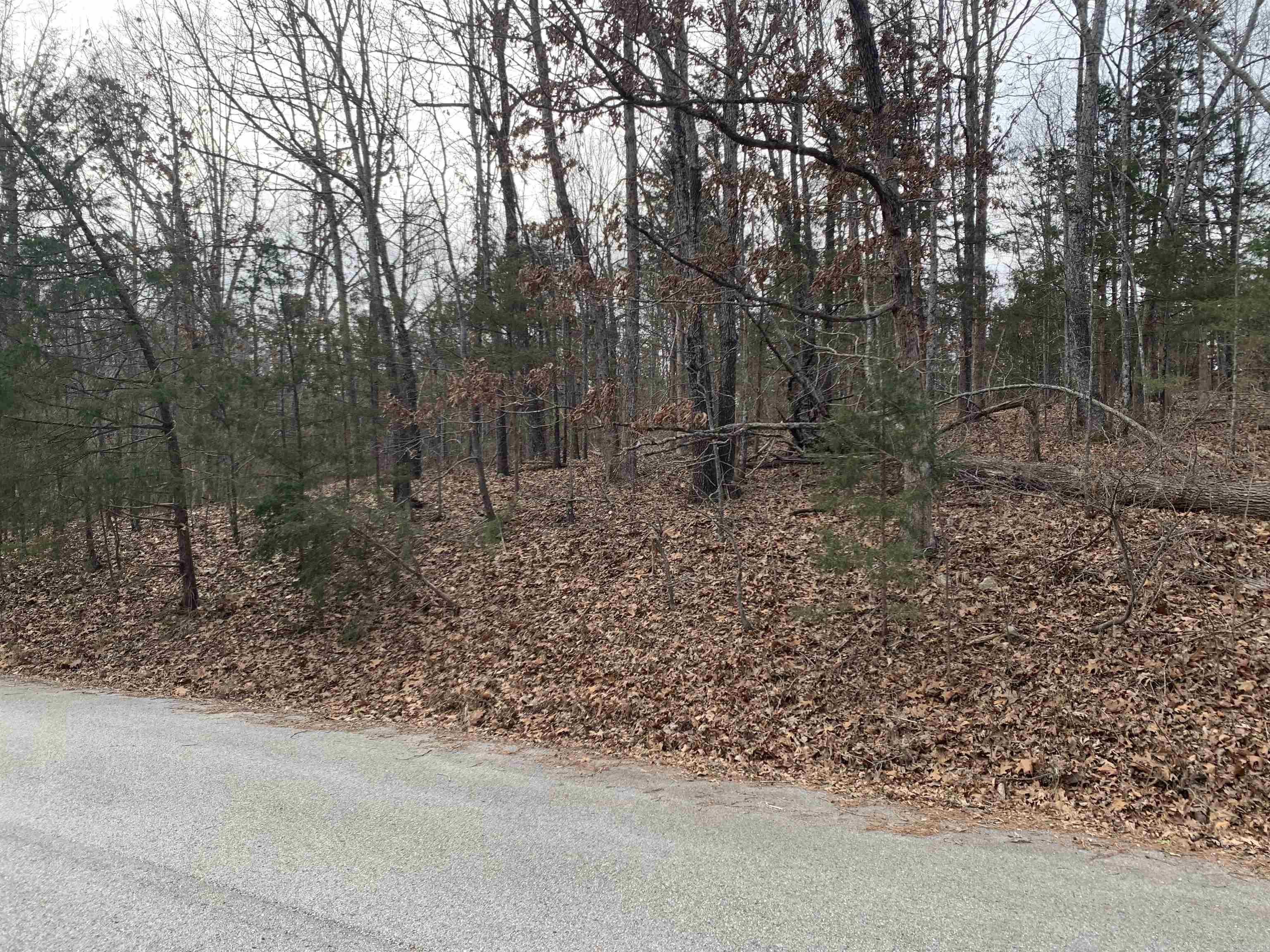 010-05456-000 McCain Drive  Mountain Home, AR