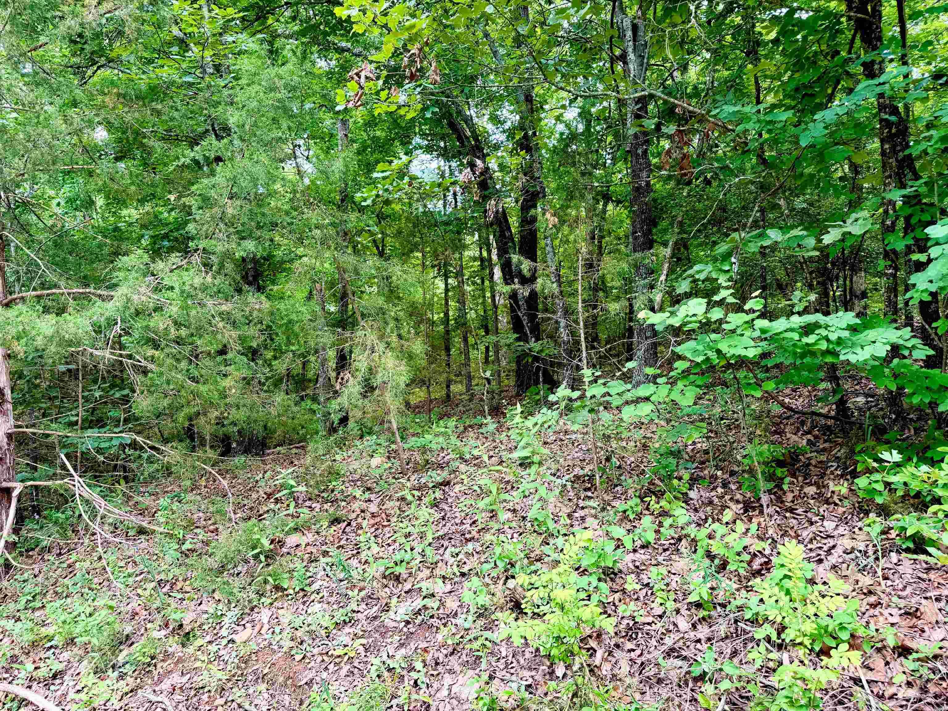 010-05456-000 Hwy 5 South  Briarcliff, AR