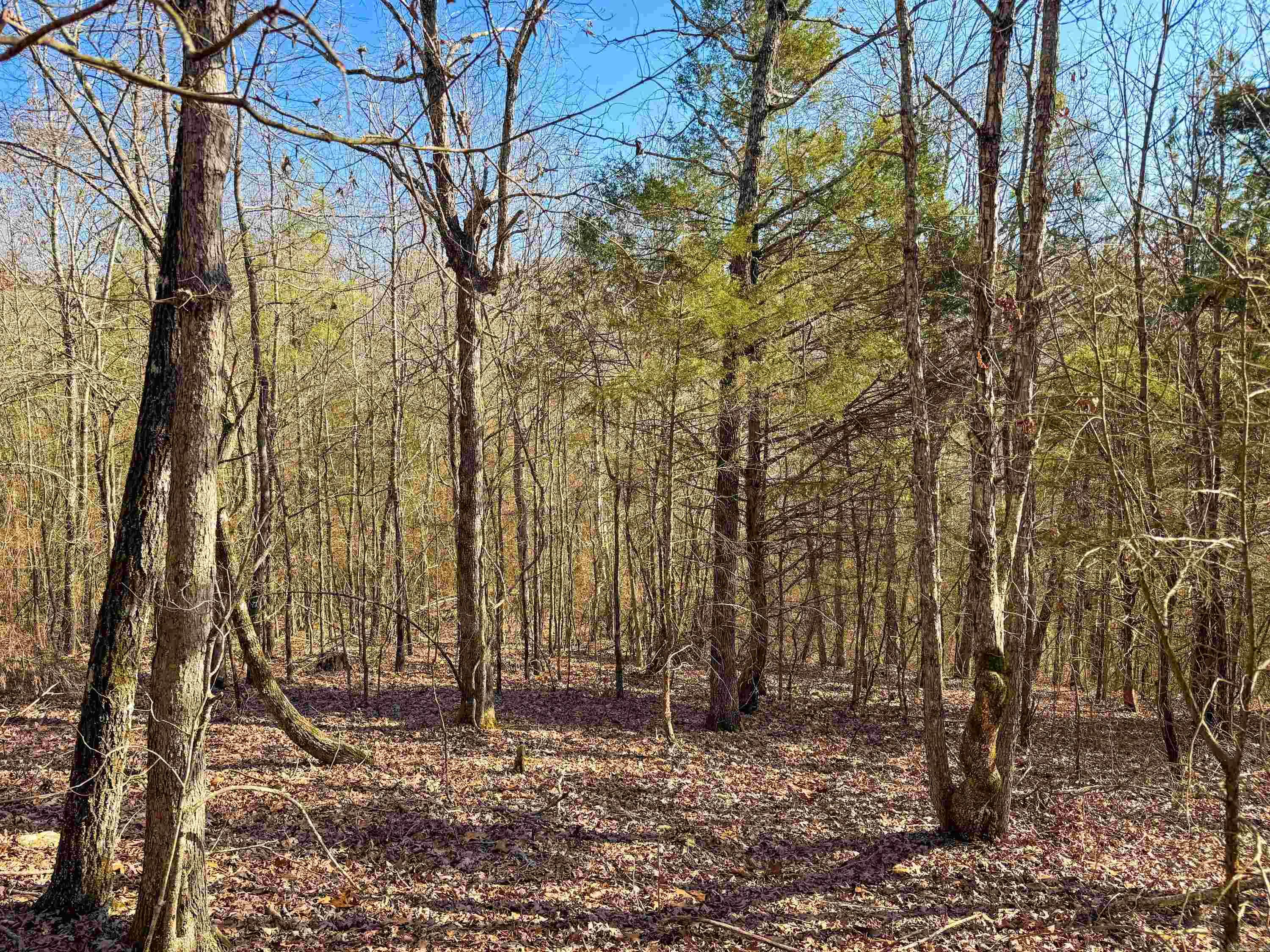 370 Guy  Quitman, AR