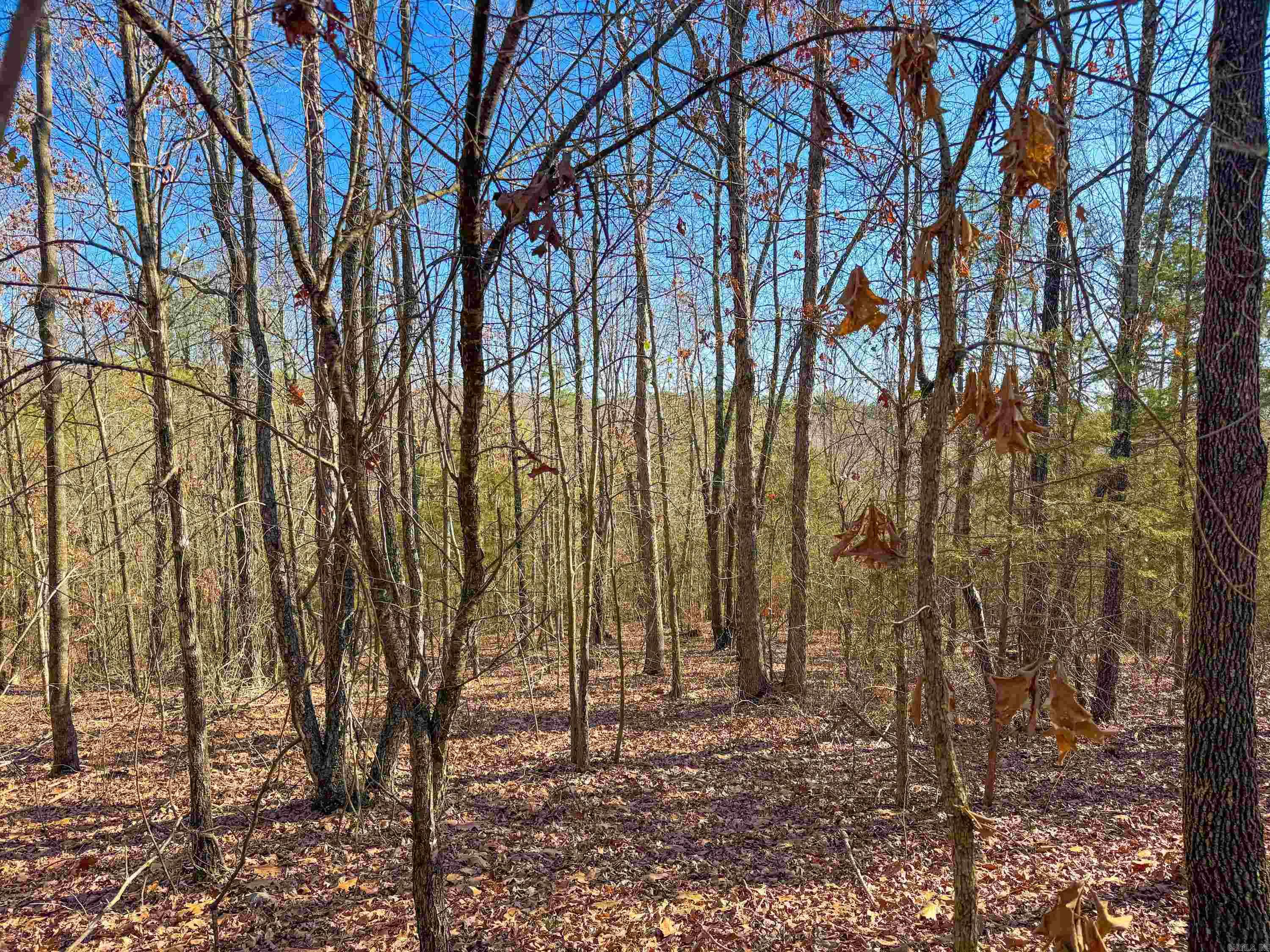 370 Guy  Quitman, AR