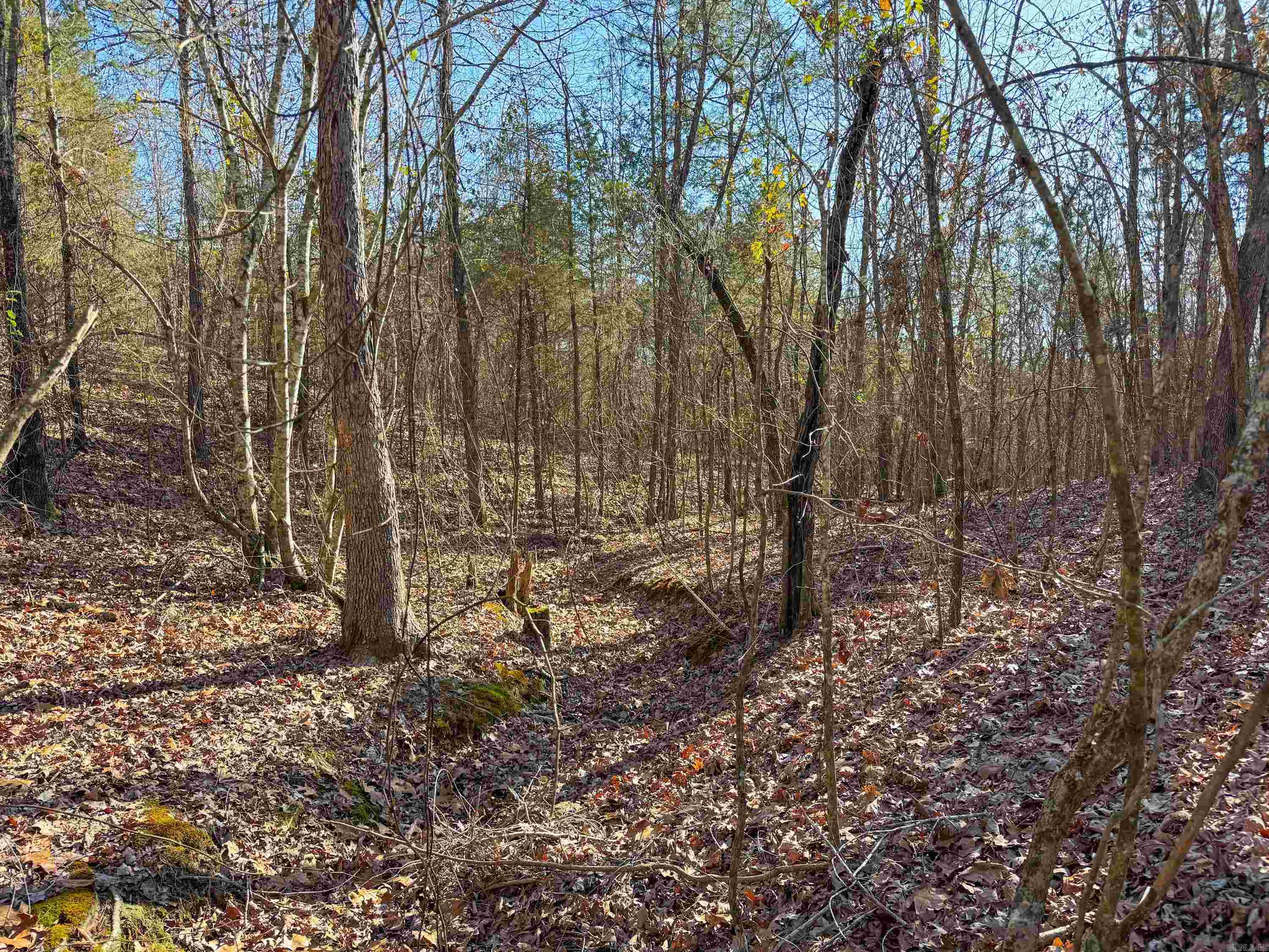 370 Guy  Quitman, AR