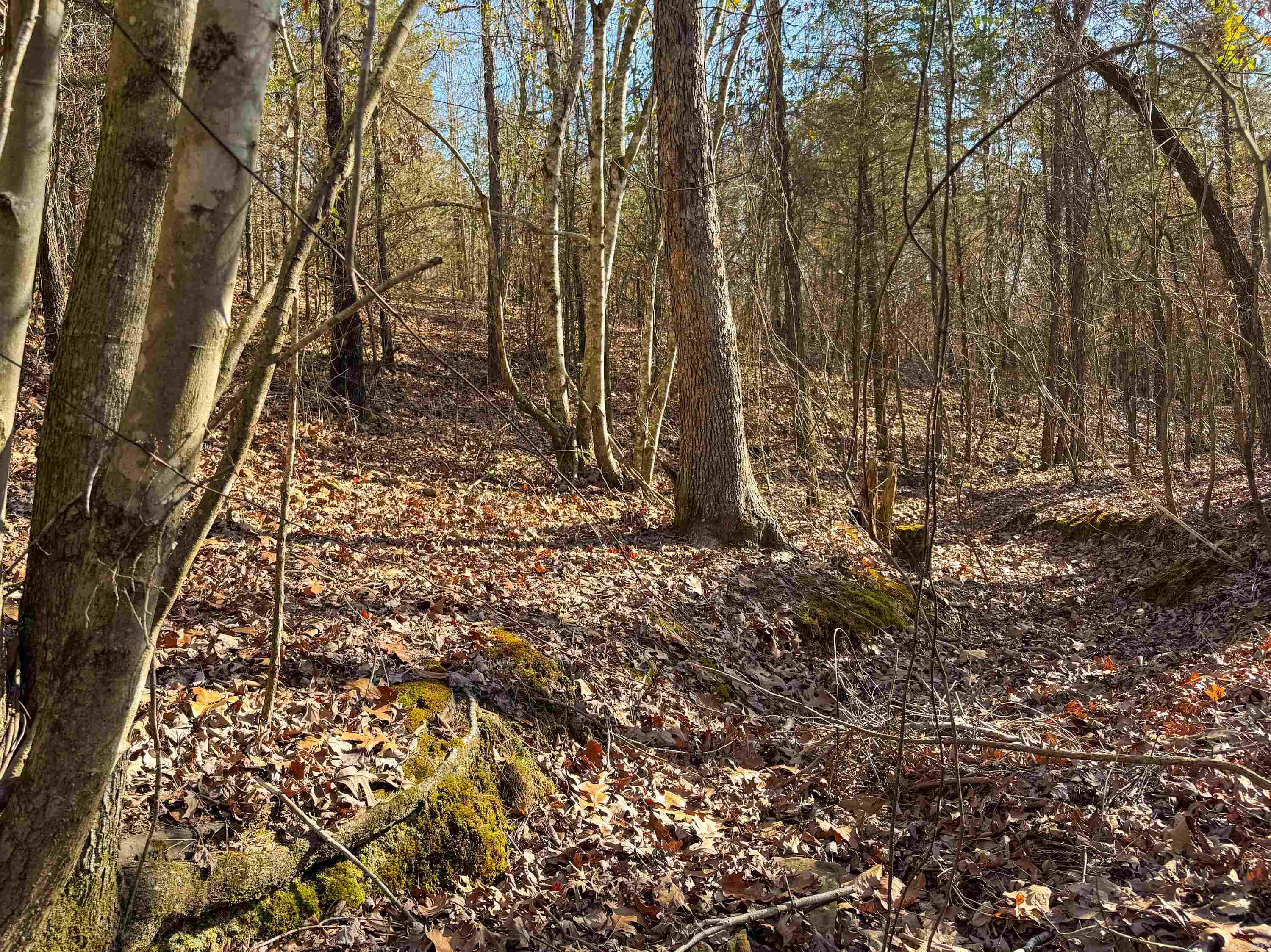 370 Guy  Quitman, AR