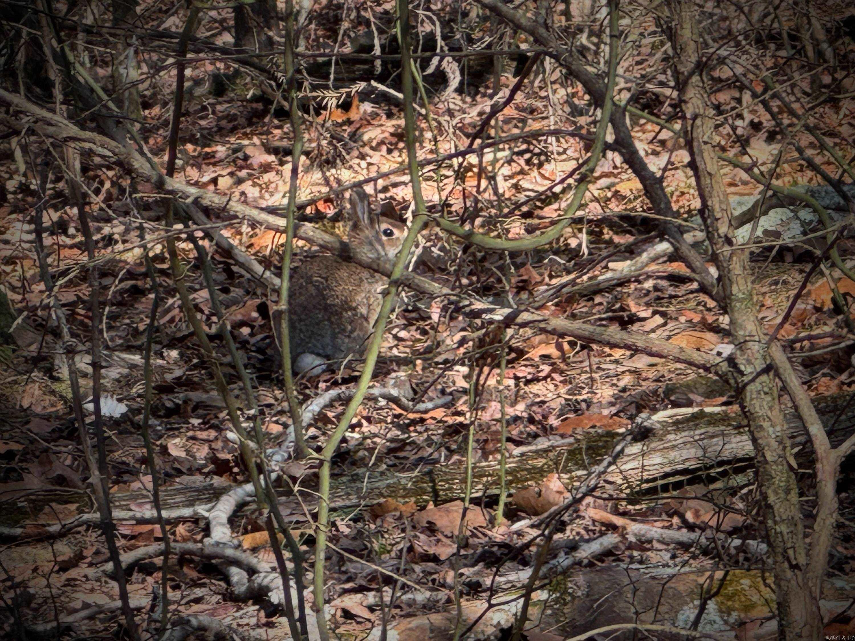 370 Guy  Quitman, AR