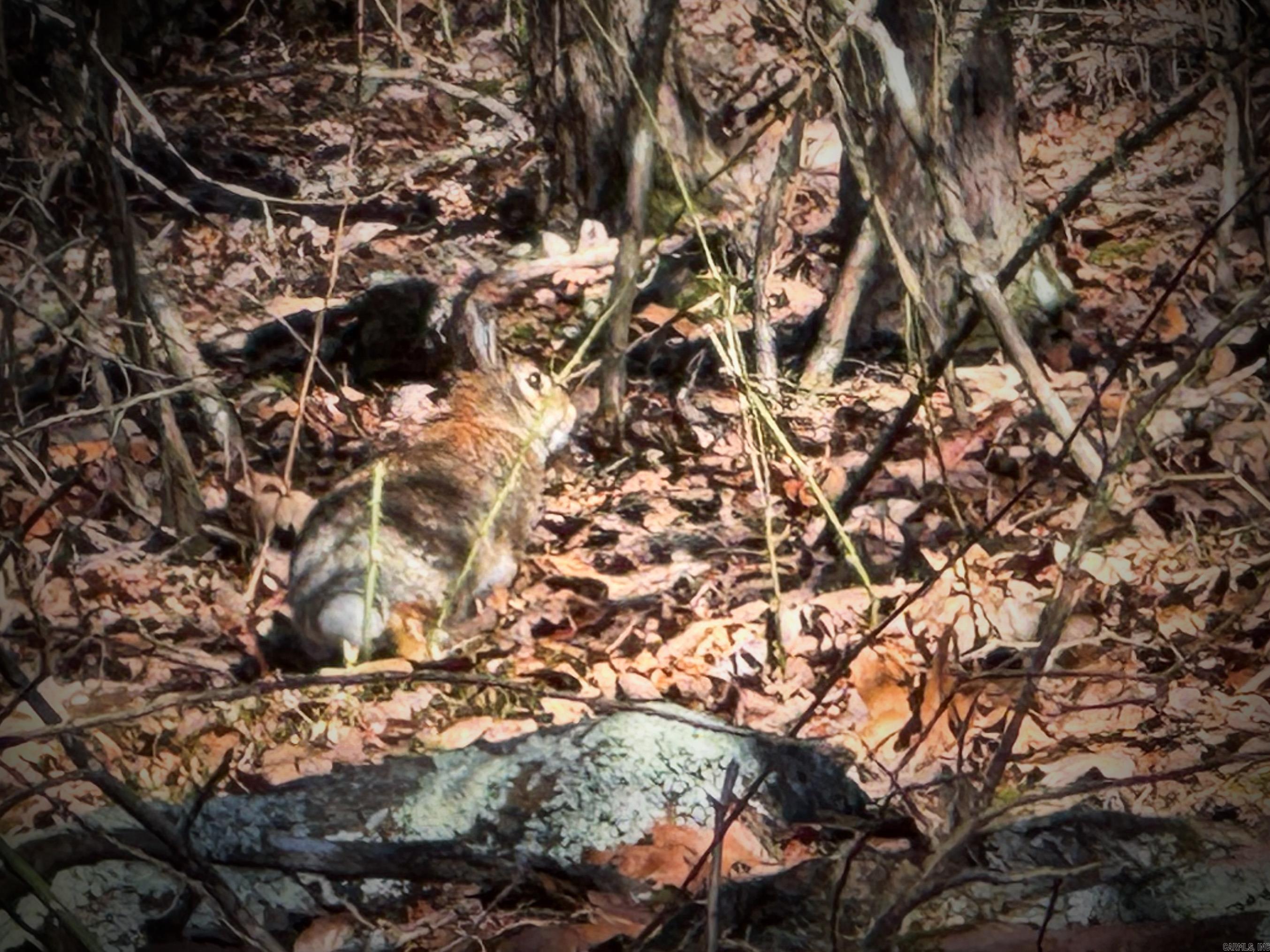 370 Guy  Quitman, AR