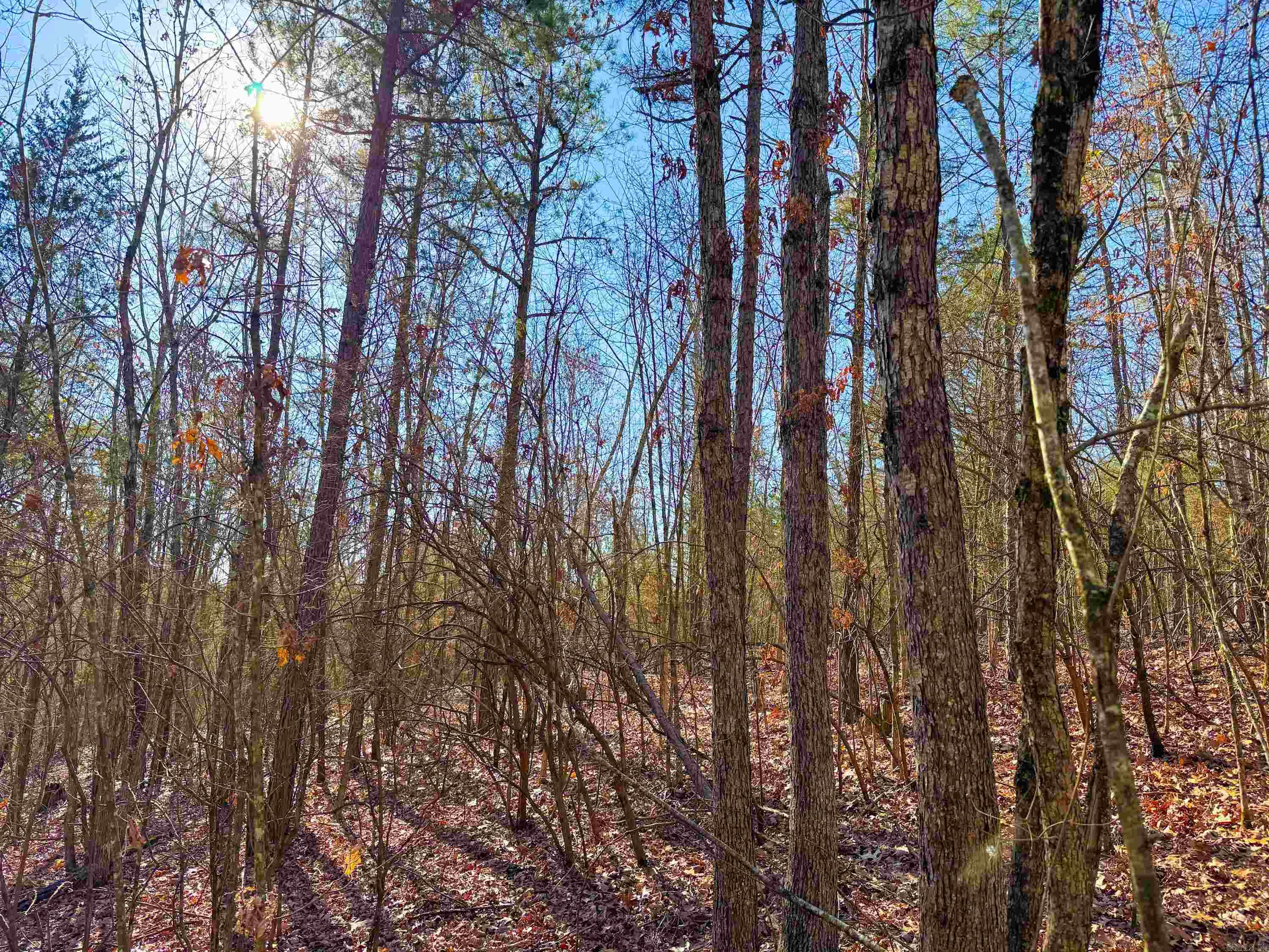 370 Guy  Quitman, AR