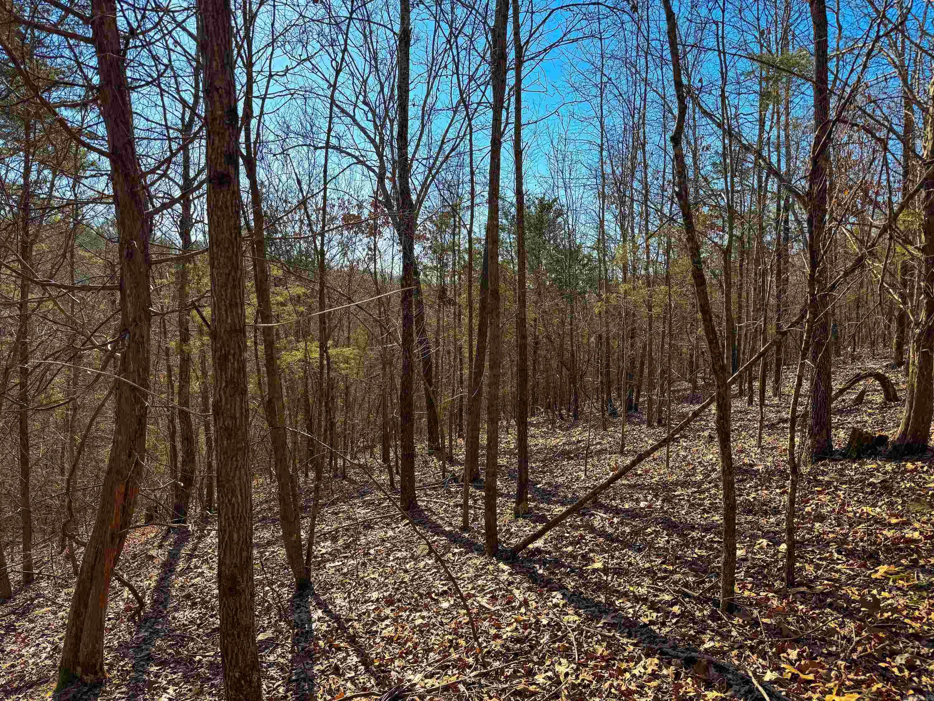 370 Guy  Quitman, AR