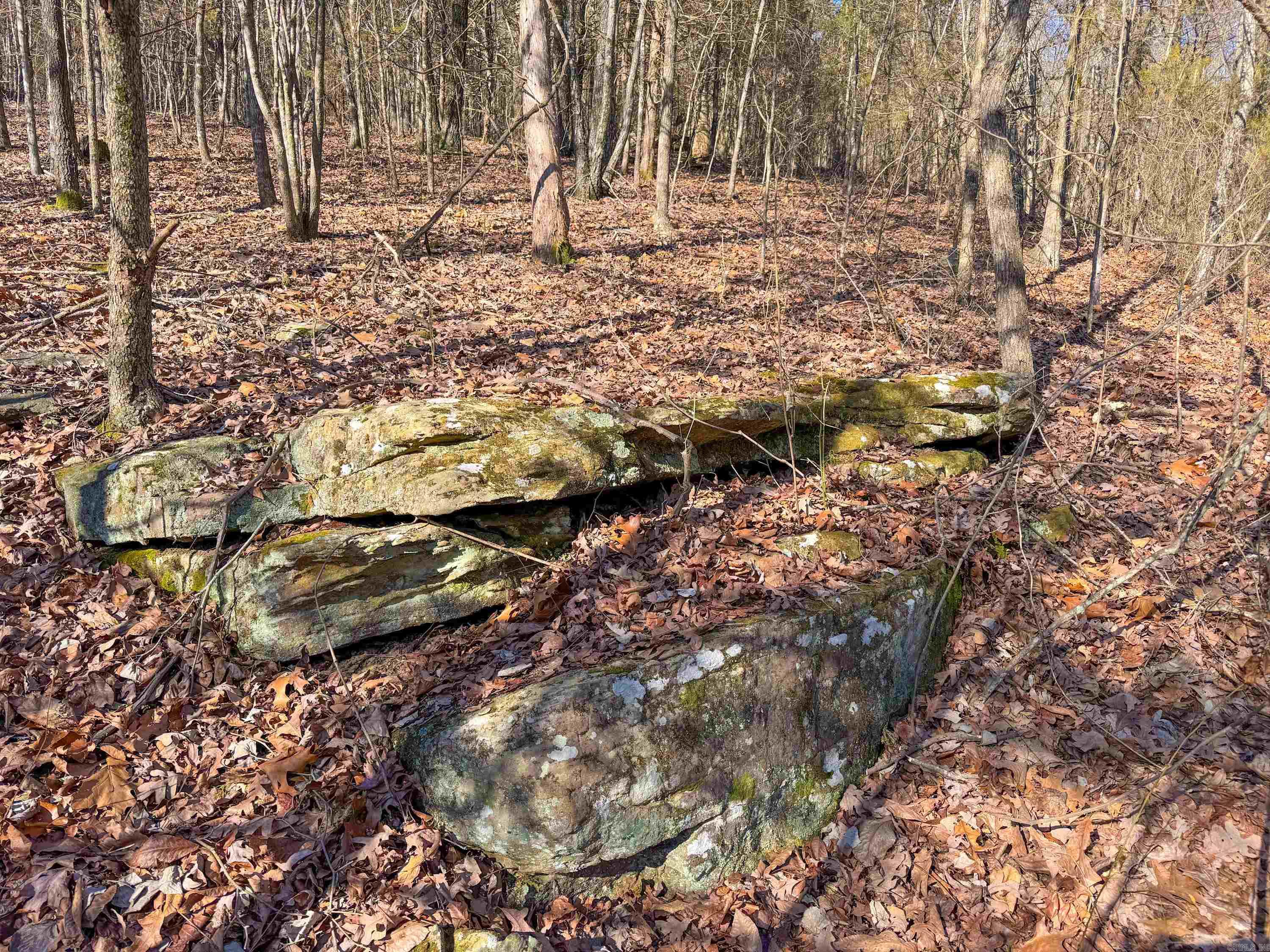 370 Guy  Quitman, AR