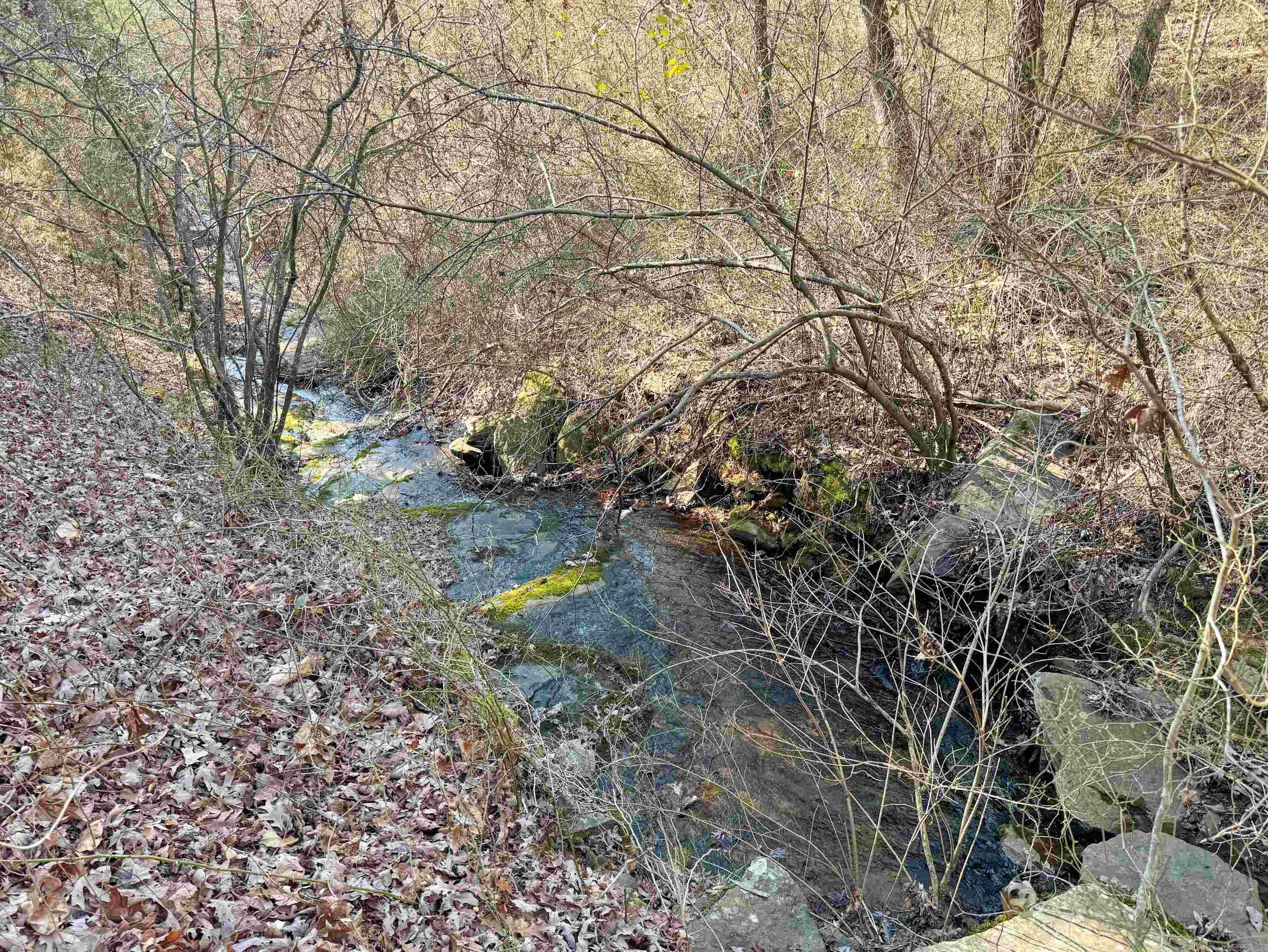 370 Guy  Quitman, AR