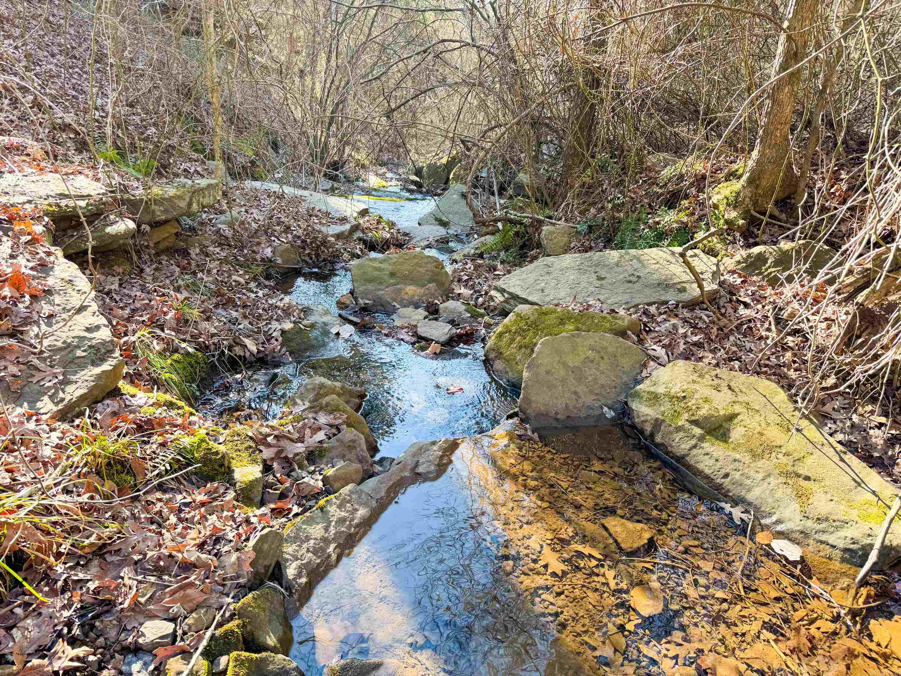 370 Guy  Quitman, AR