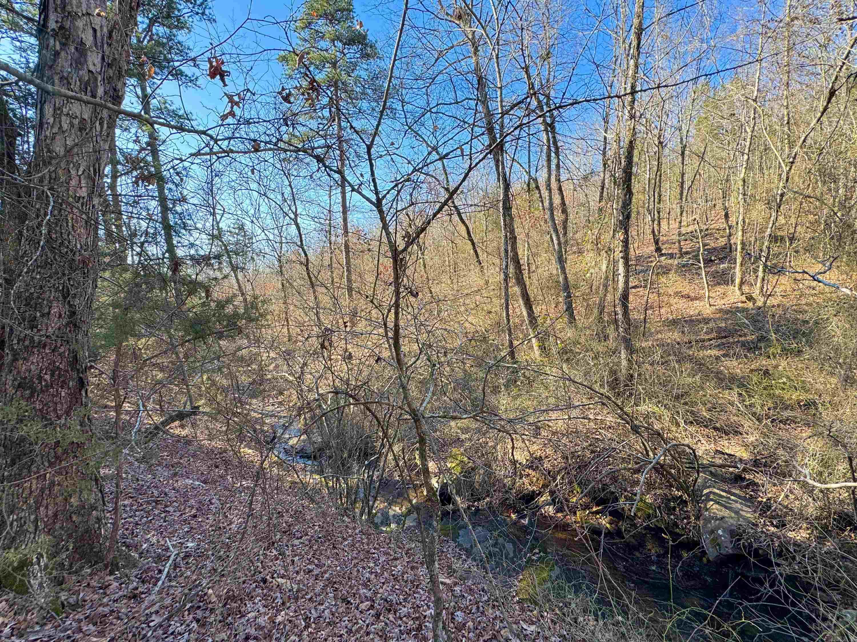 370 Guy  Quitman, AR