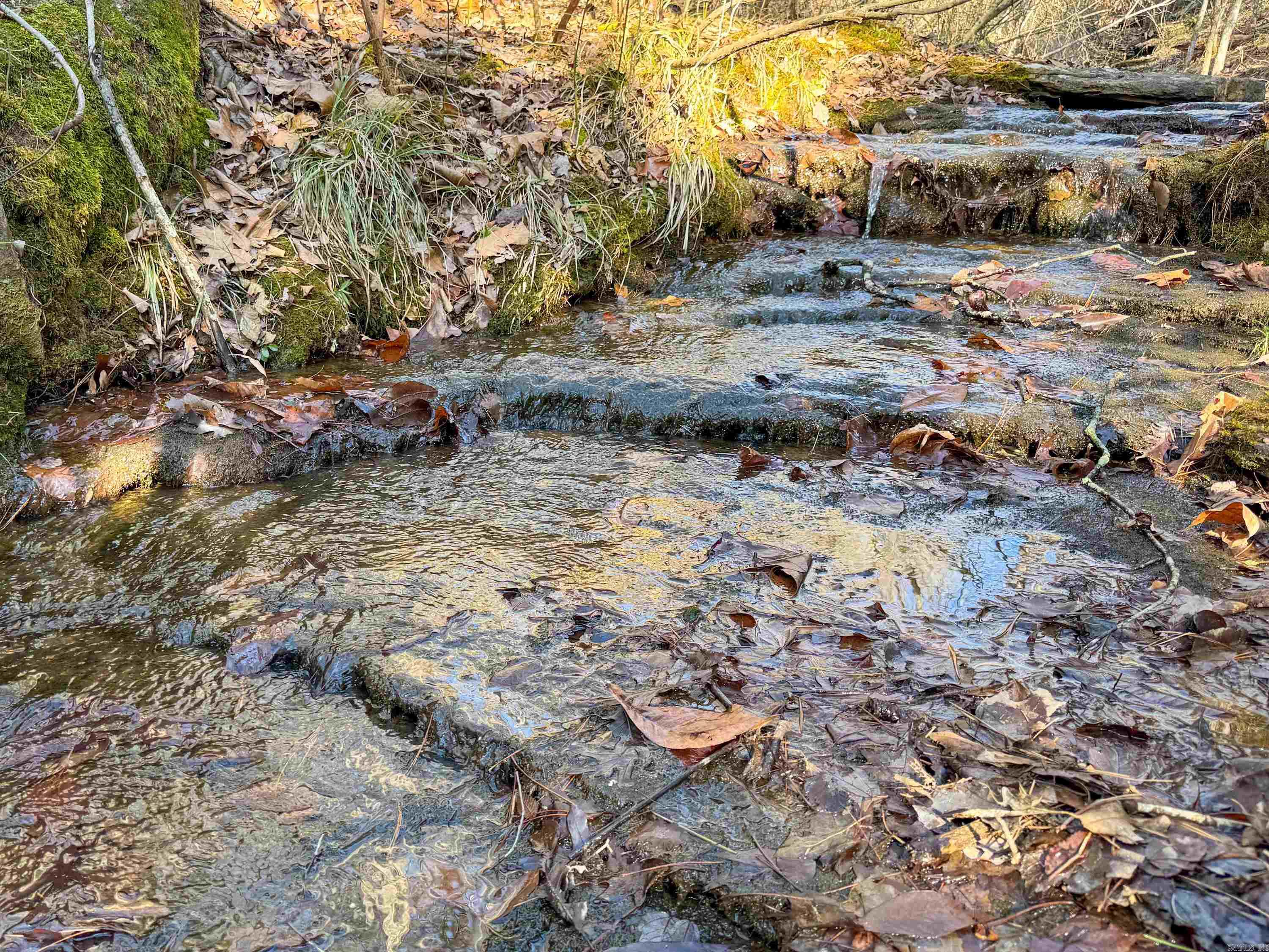 370 Guy  Quitman, AR