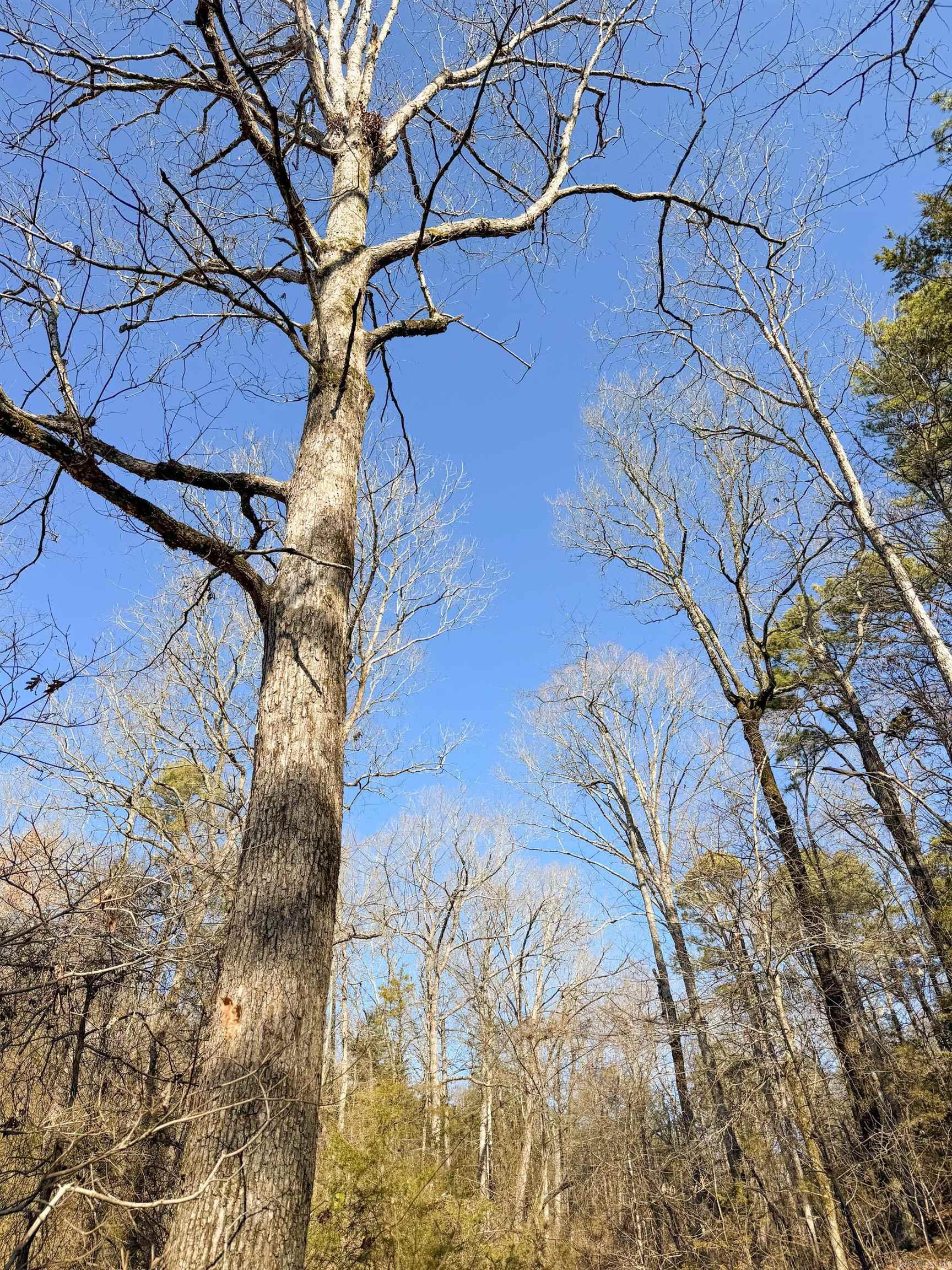 370 Guy  Quitman, AR