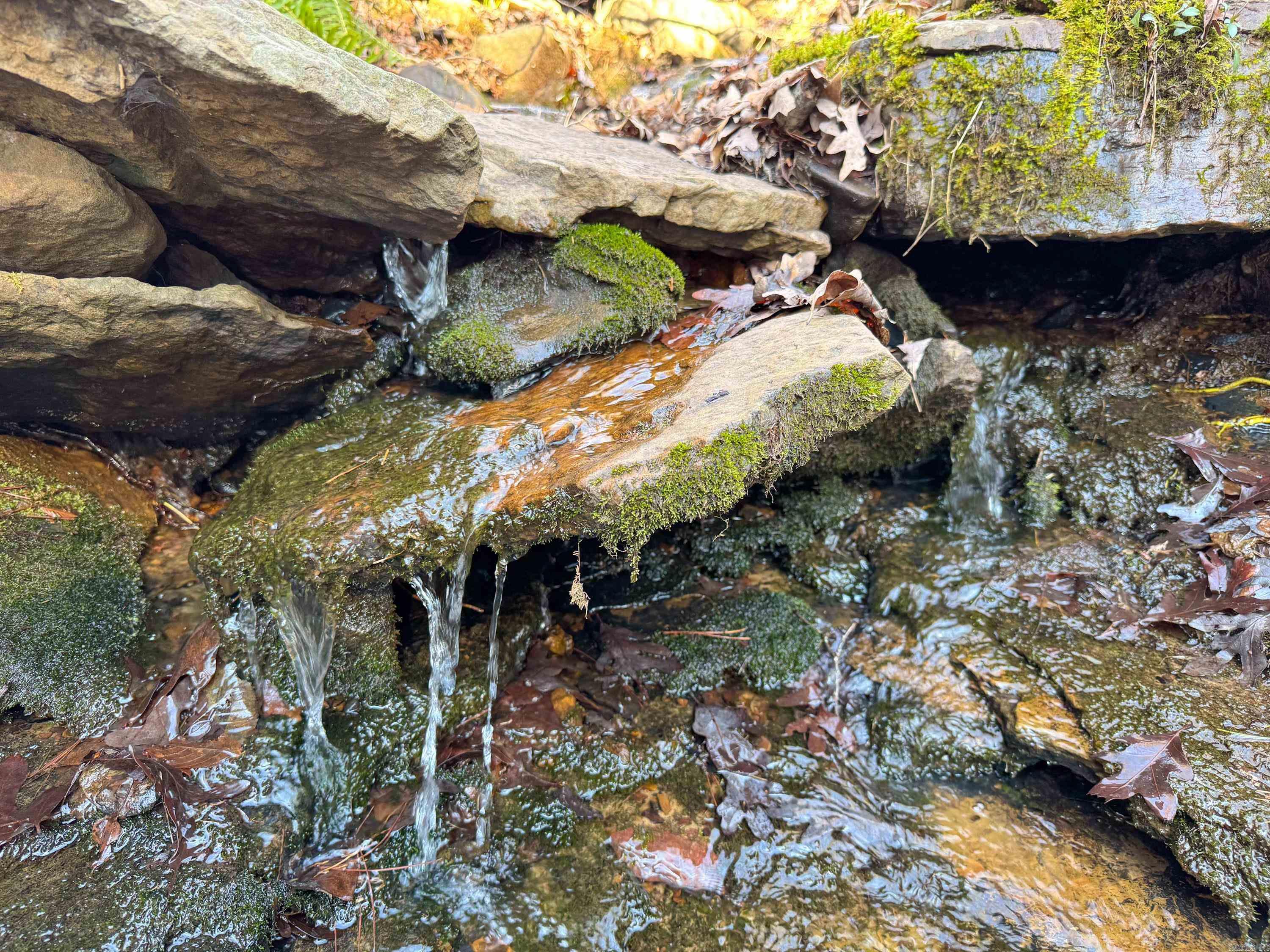 370 Guy  Quitman, AR