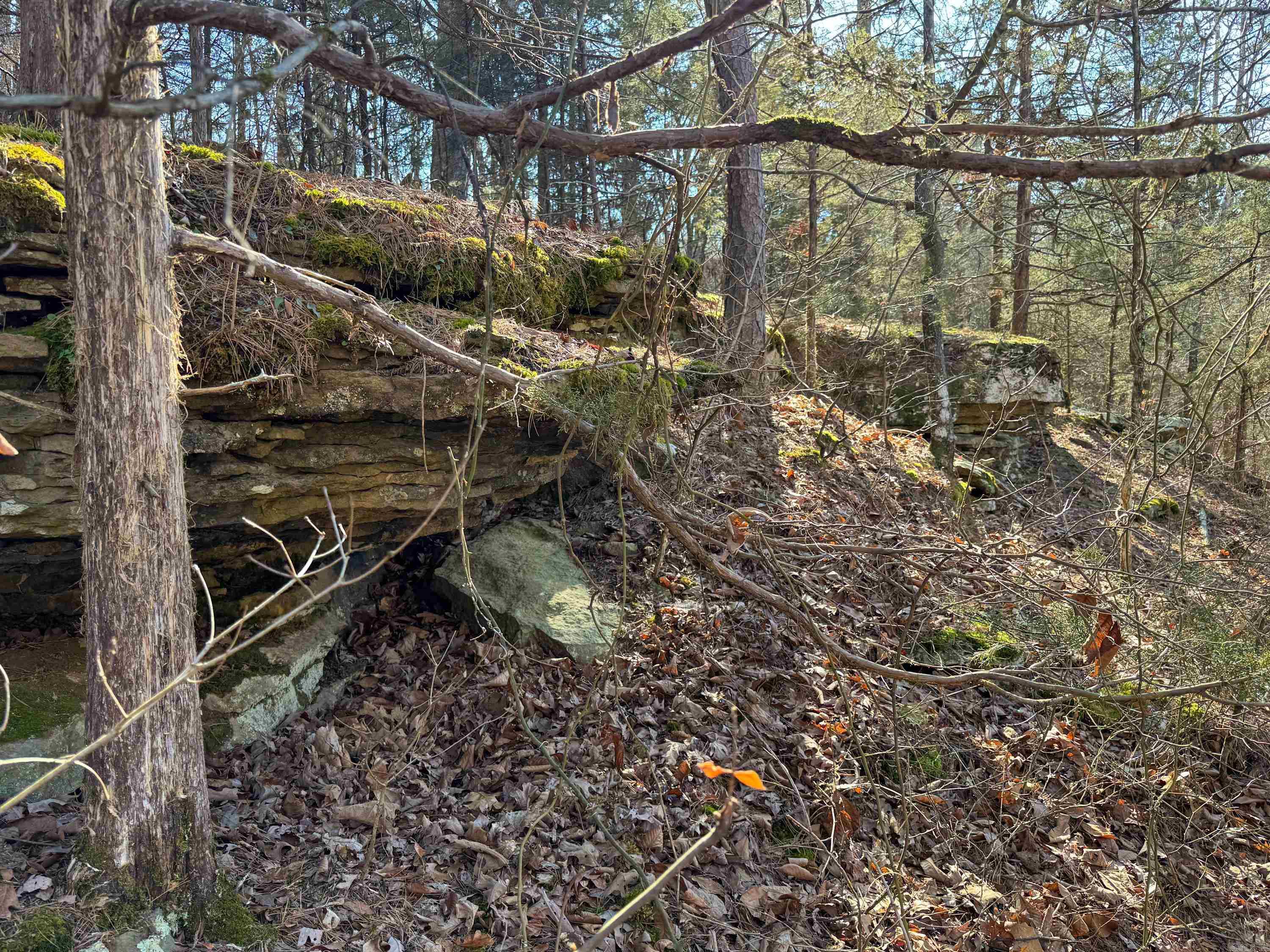 370 Guy  Quitman, AR