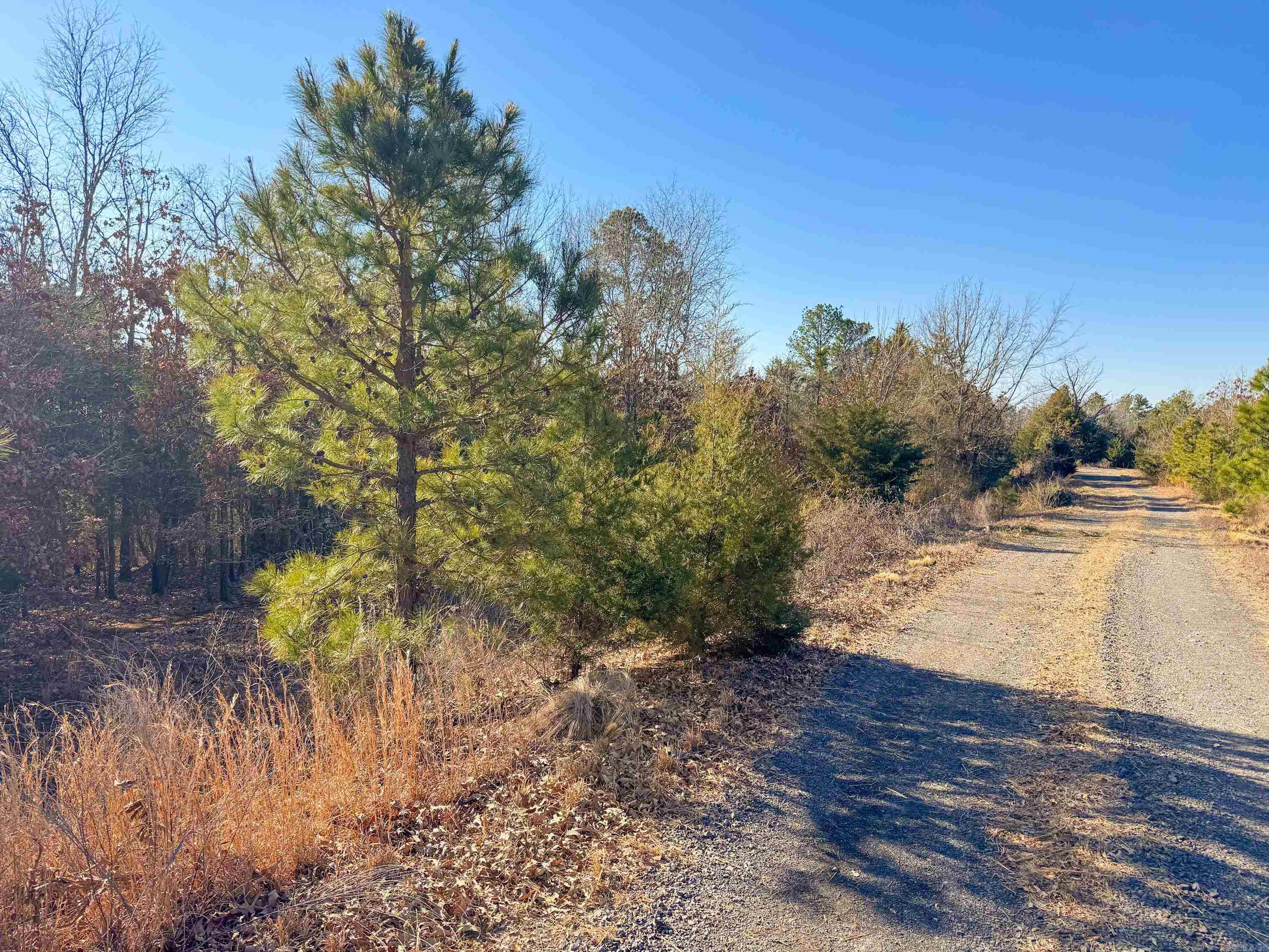 370 Guy  Quitman, AR