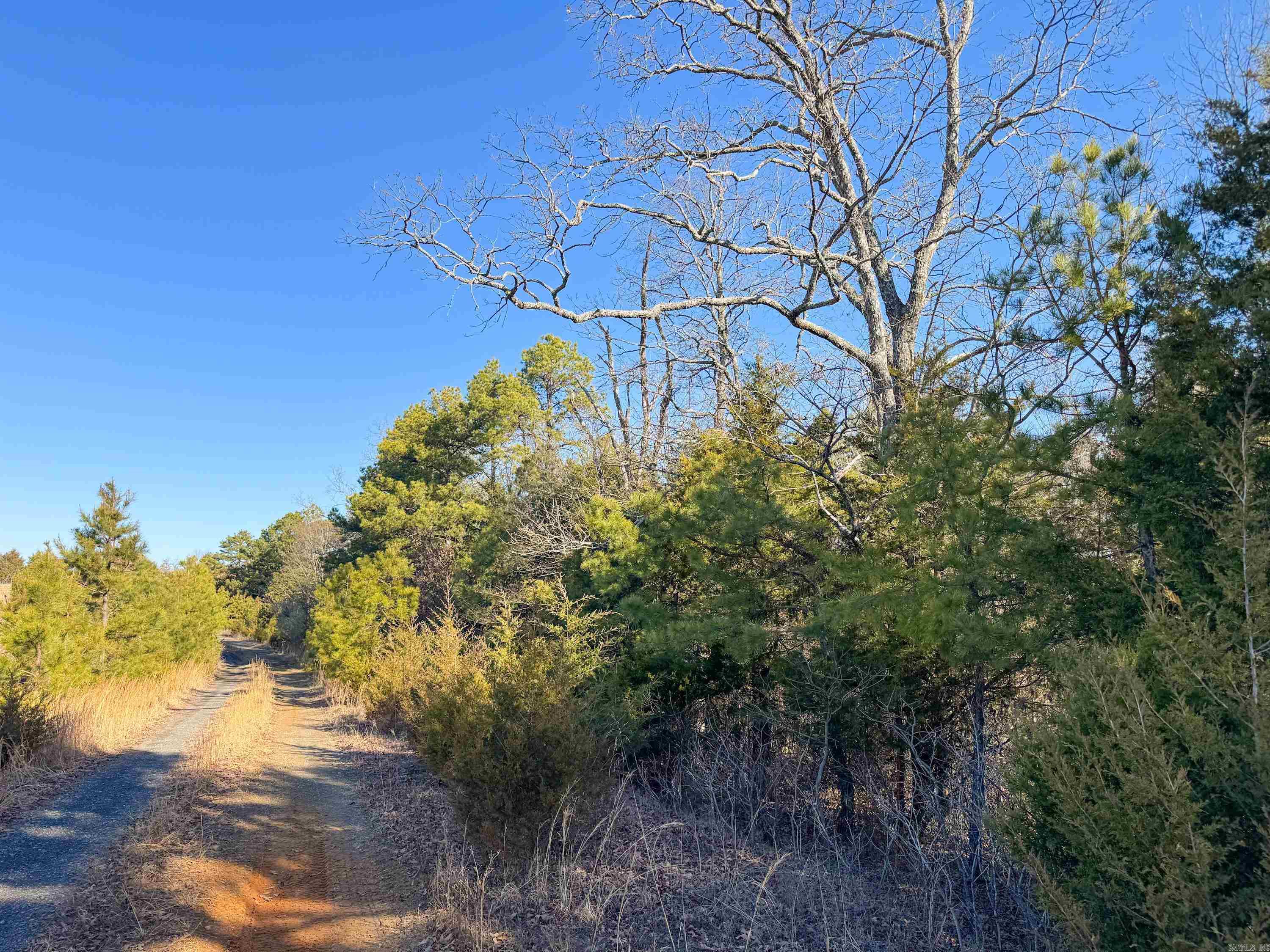 370 Guy  Quitman, AR