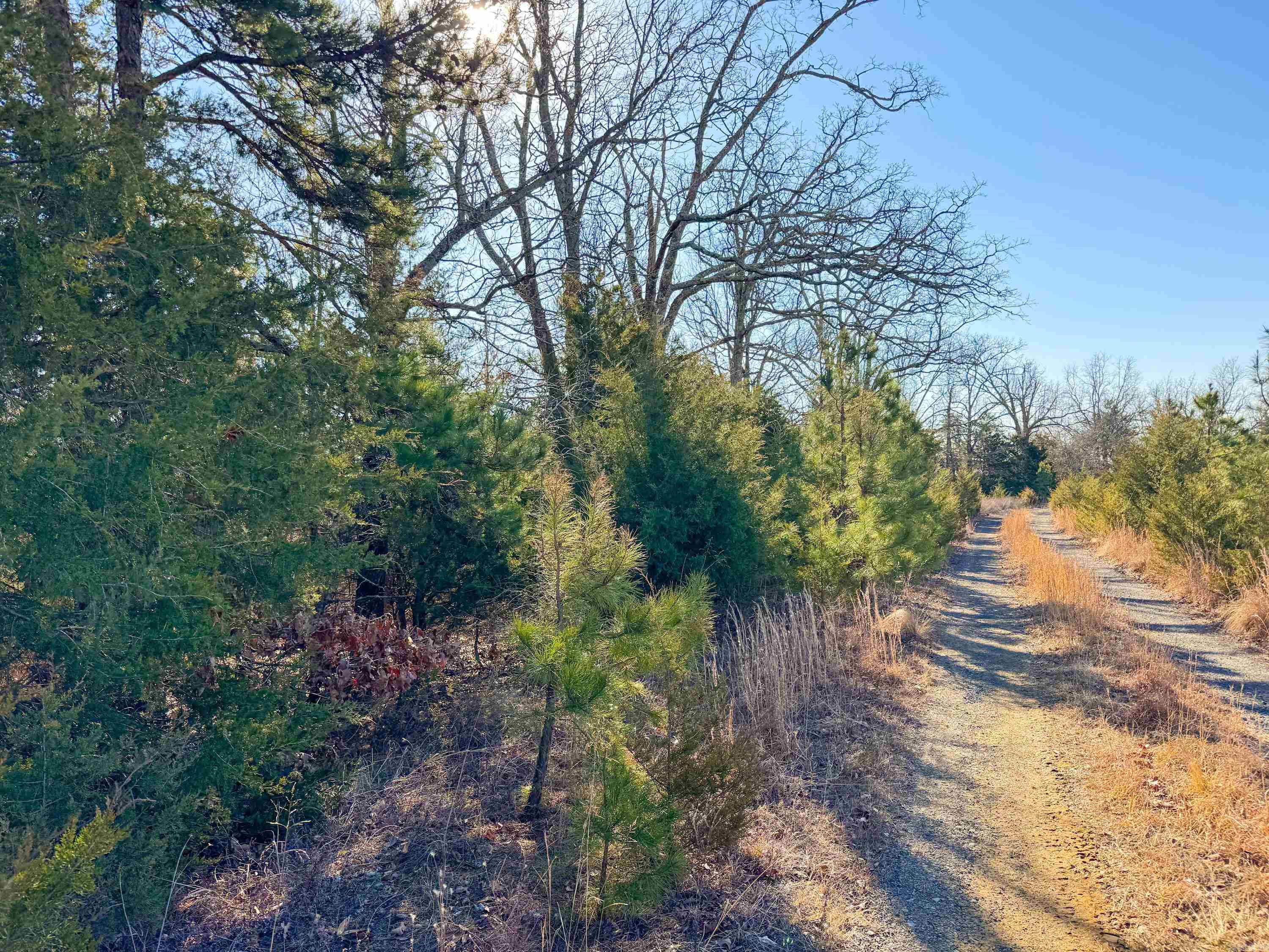 370 Guy  Quitman, AR