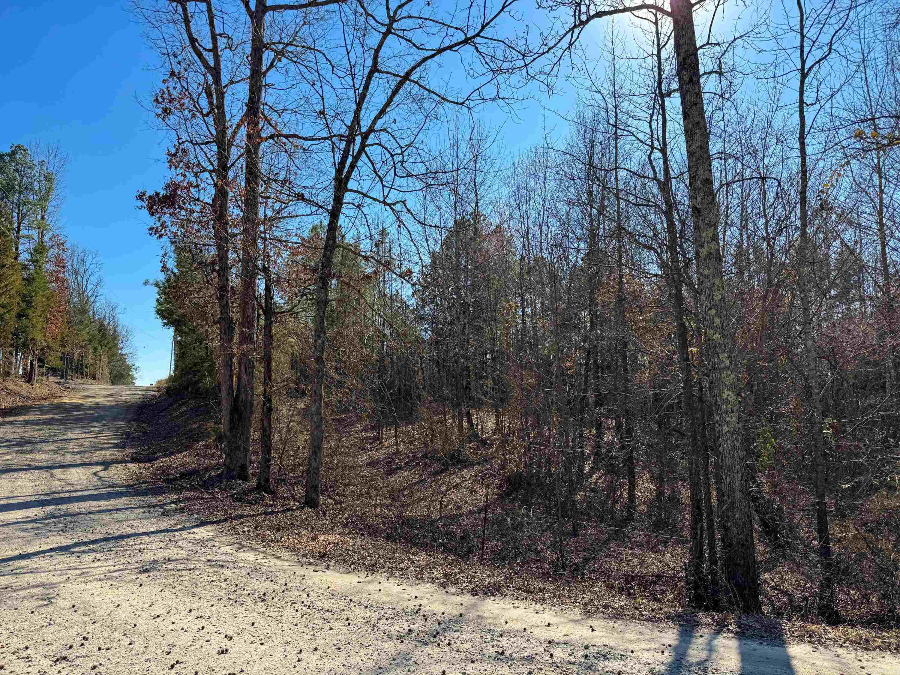 100 Guy  Quitman, AR