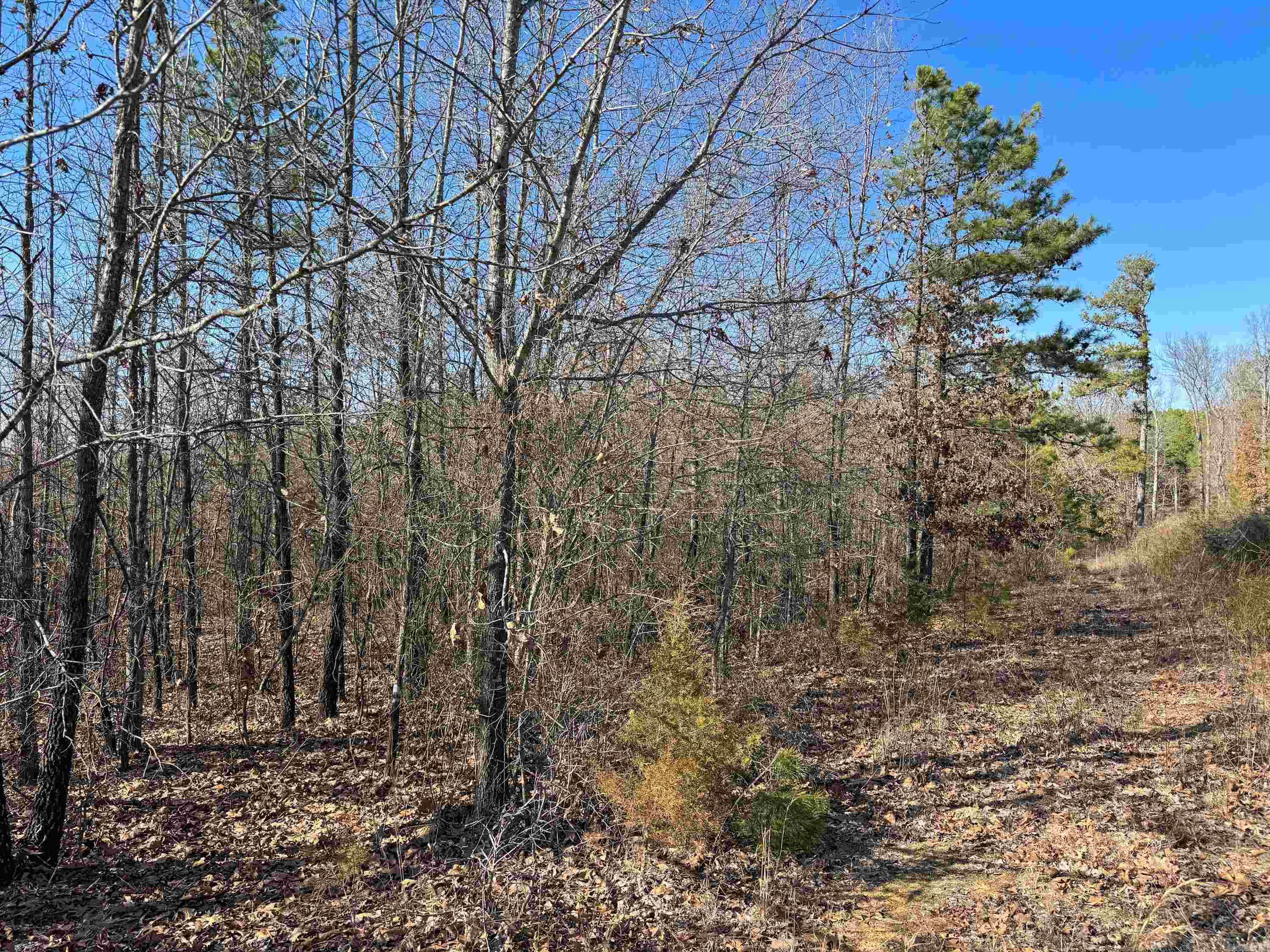 100 Guy  Quitman, AR