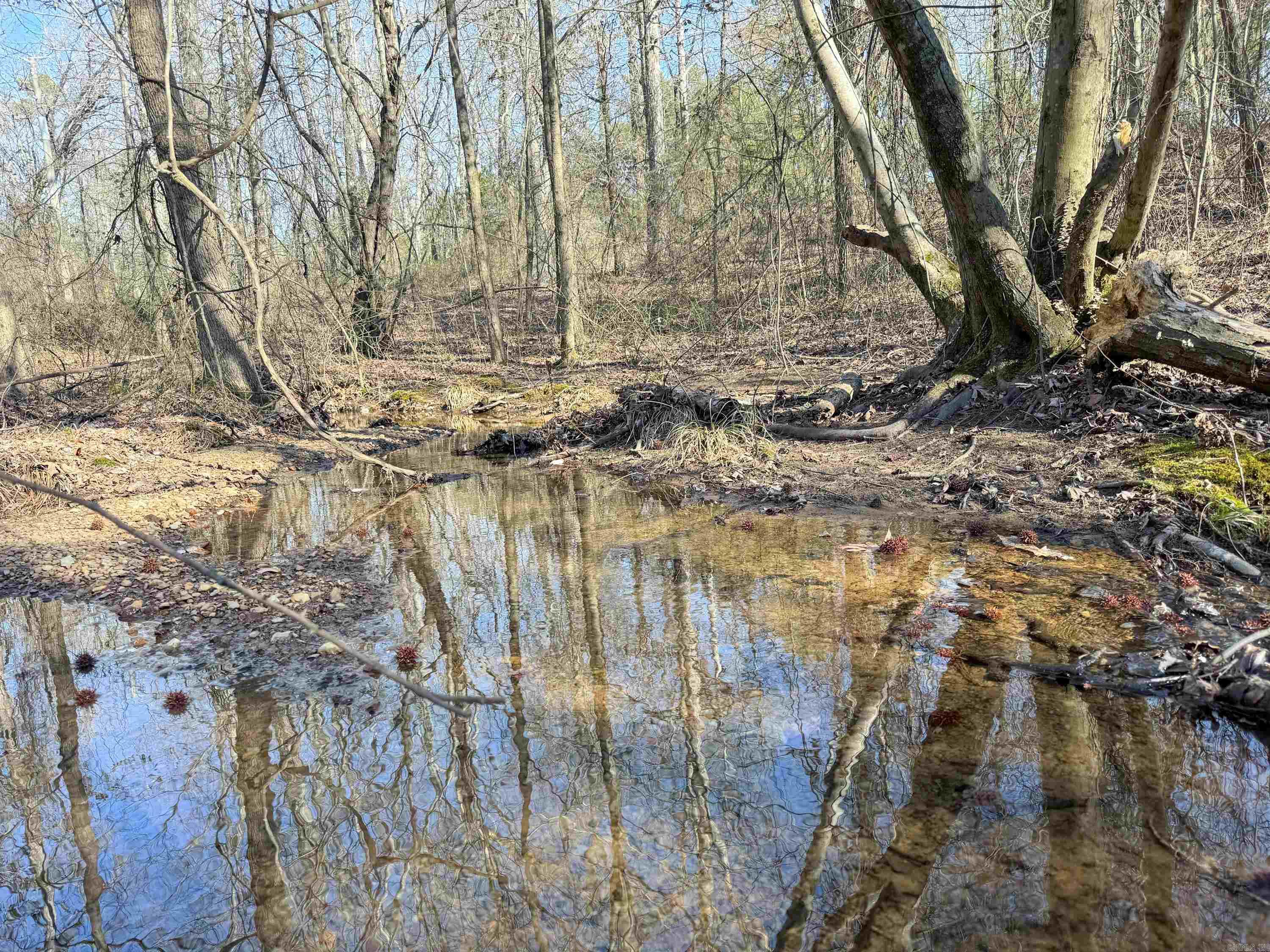 100 Guy  Quitman, AR