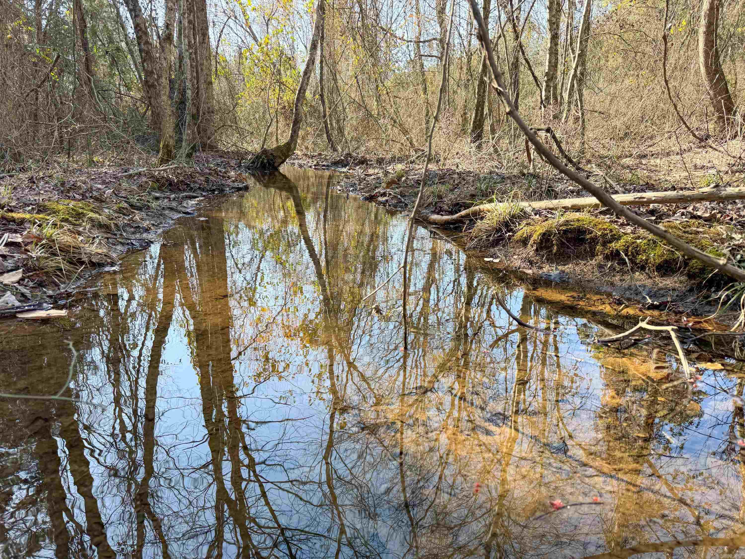 100 Guy  Quitman, AR