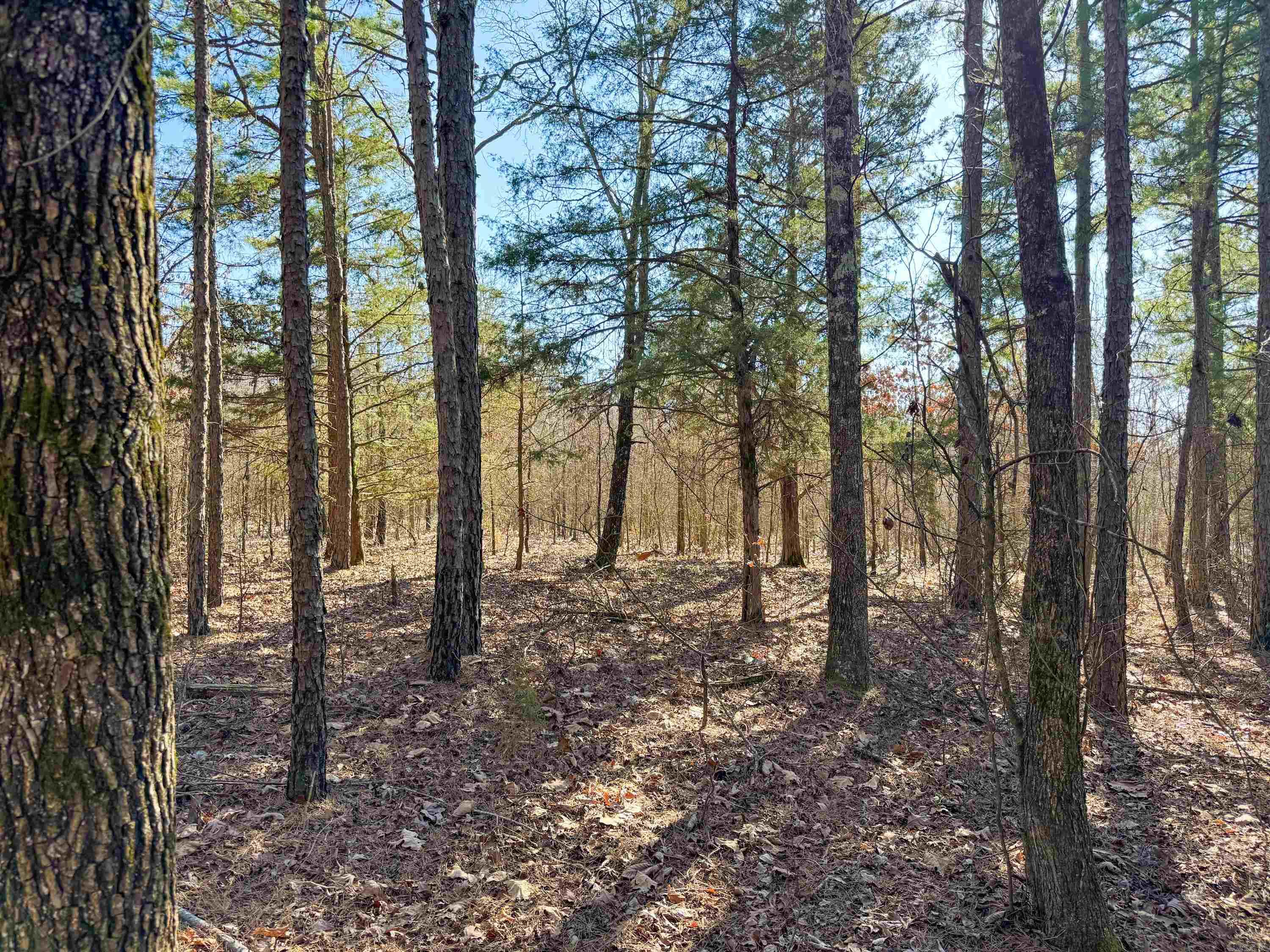 102 Guy  Quitman, AR