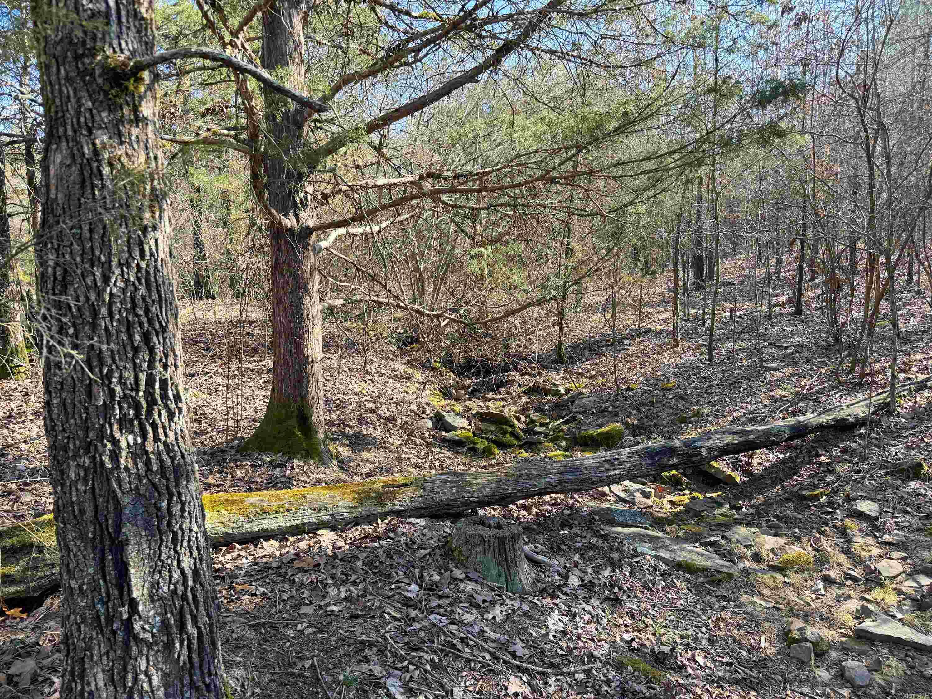 102 Guy  Quitman, AR