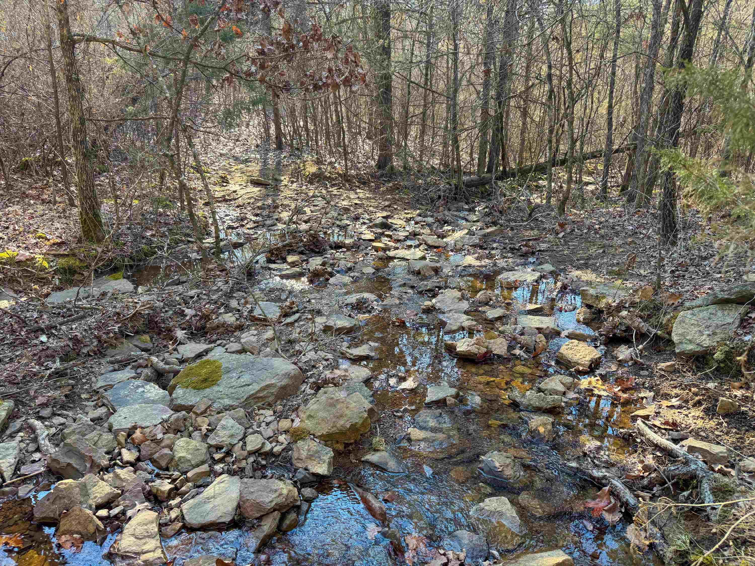 102 Guy  Quitman, AR