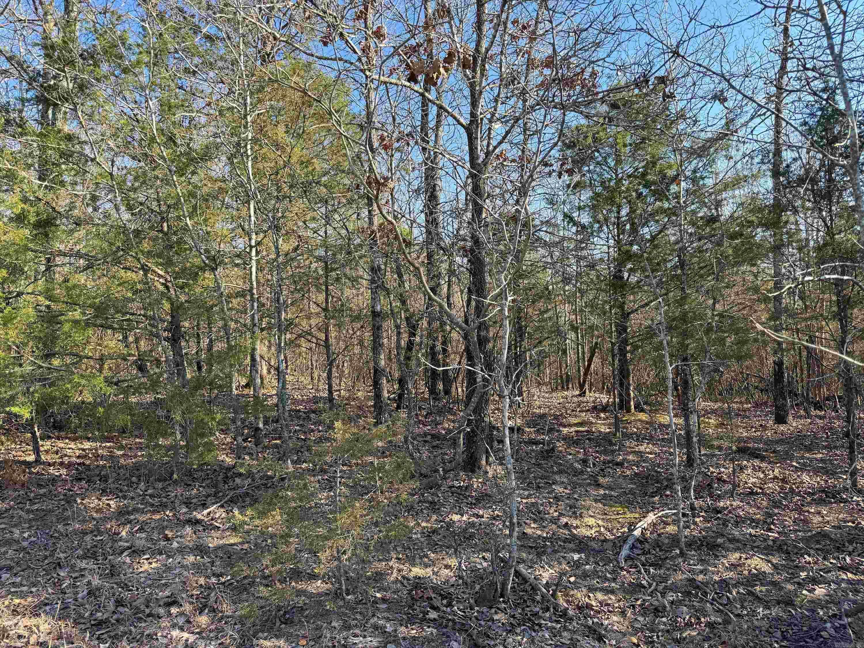 102 Guy  Quitman, AR