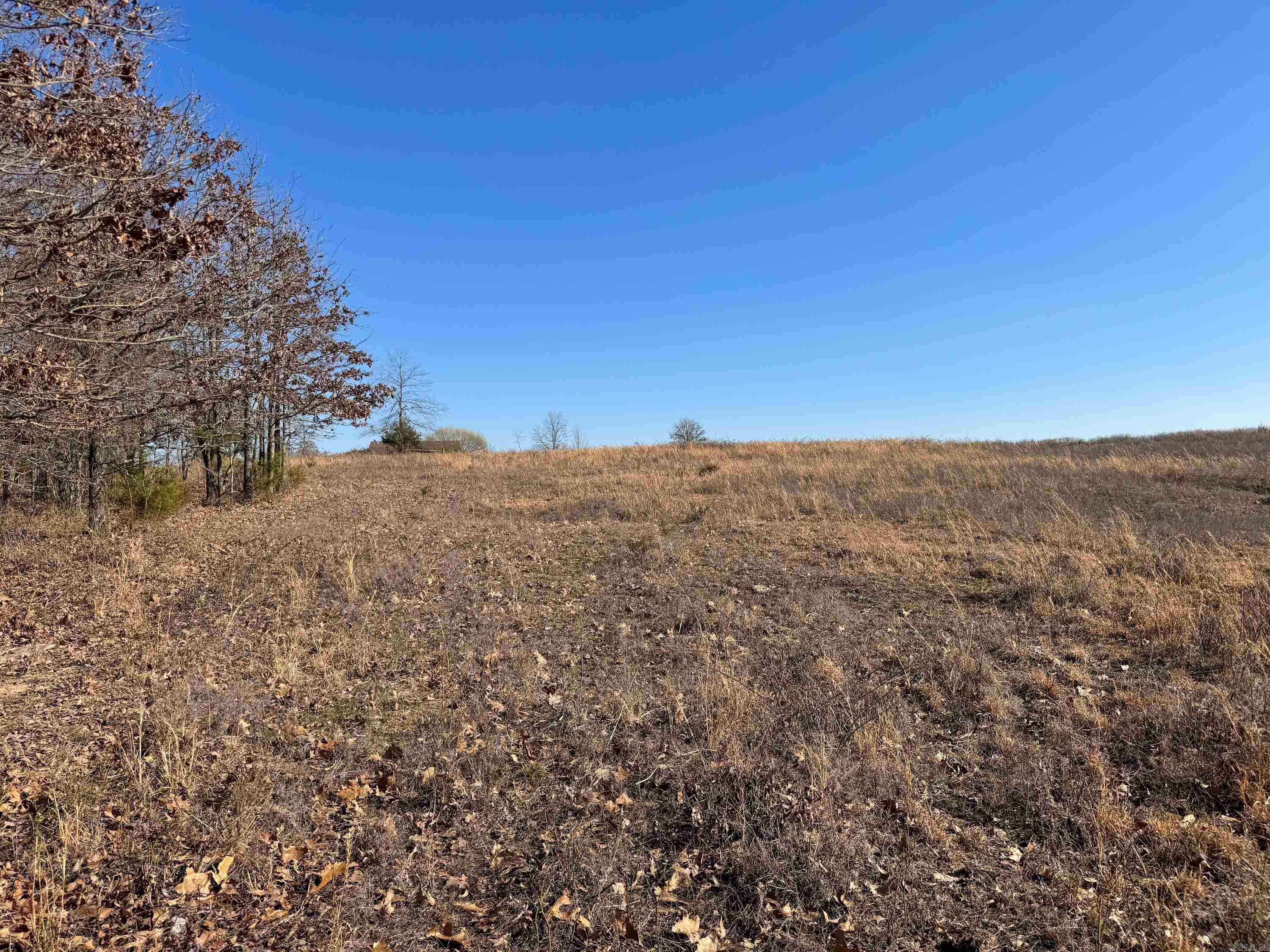 102 Guy  Quitman, AR