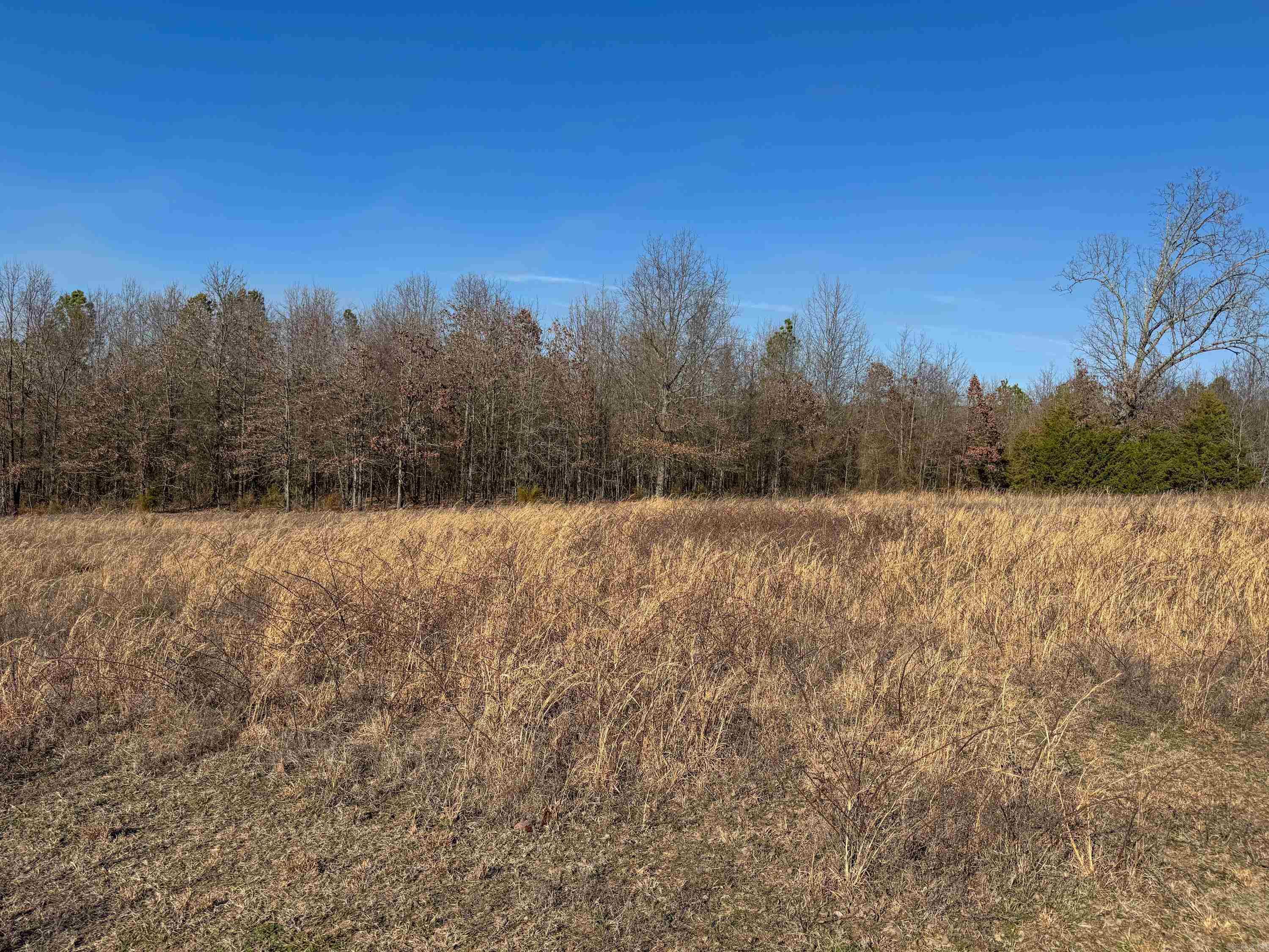 102 Guy  Quitman, AR