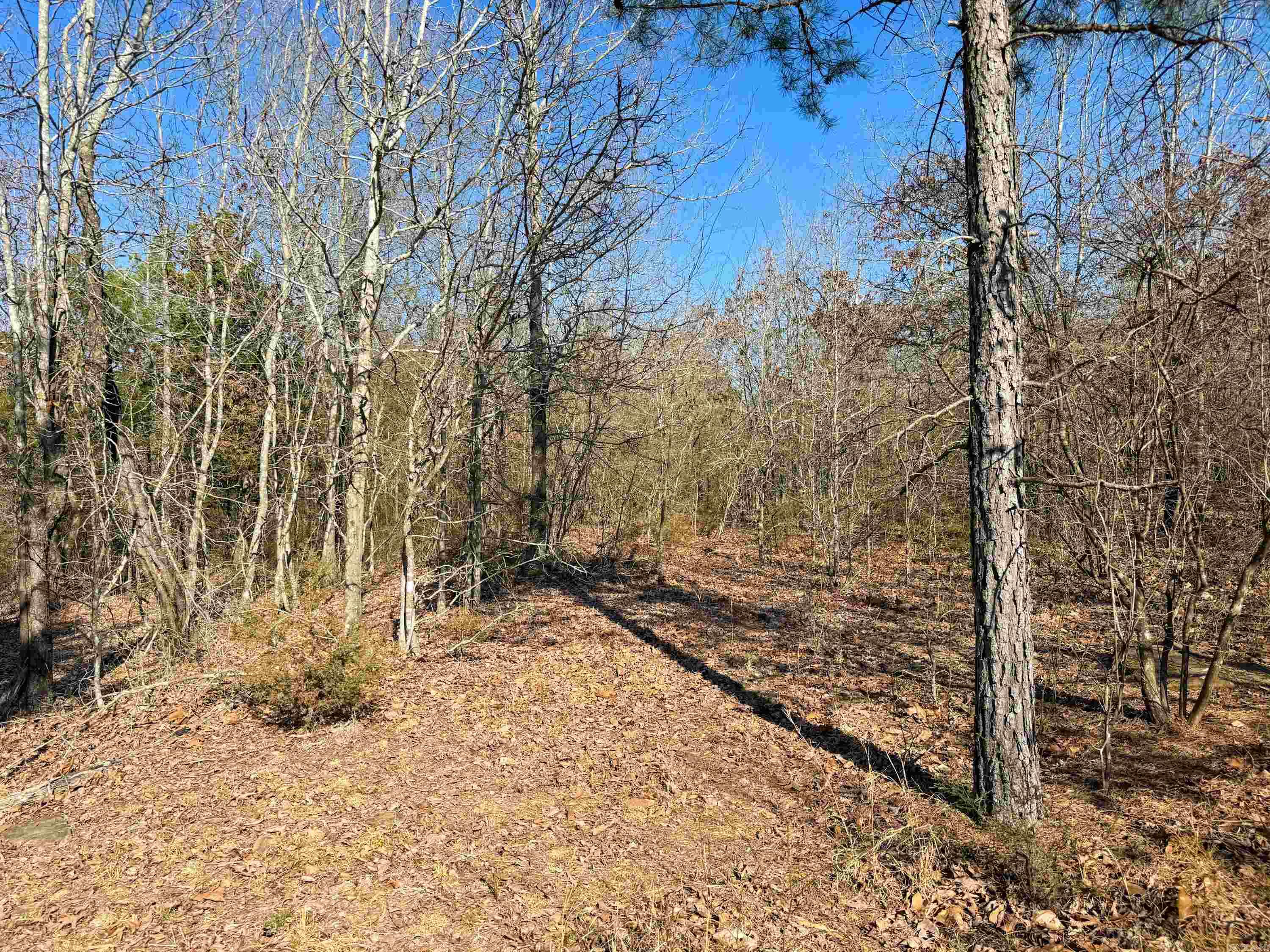 102 Guy  Quitman, AR