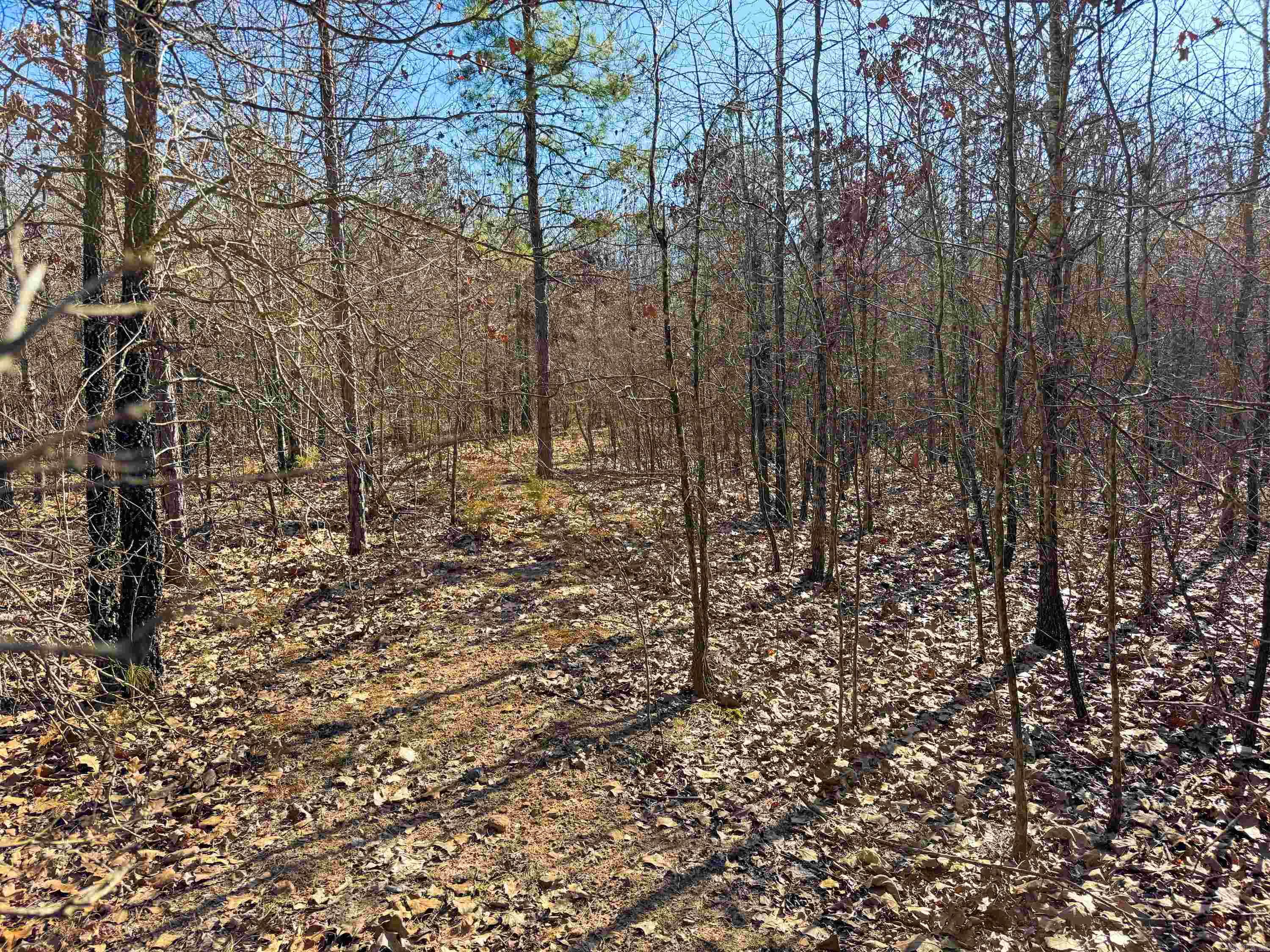 102 Guy  Quitman, AR