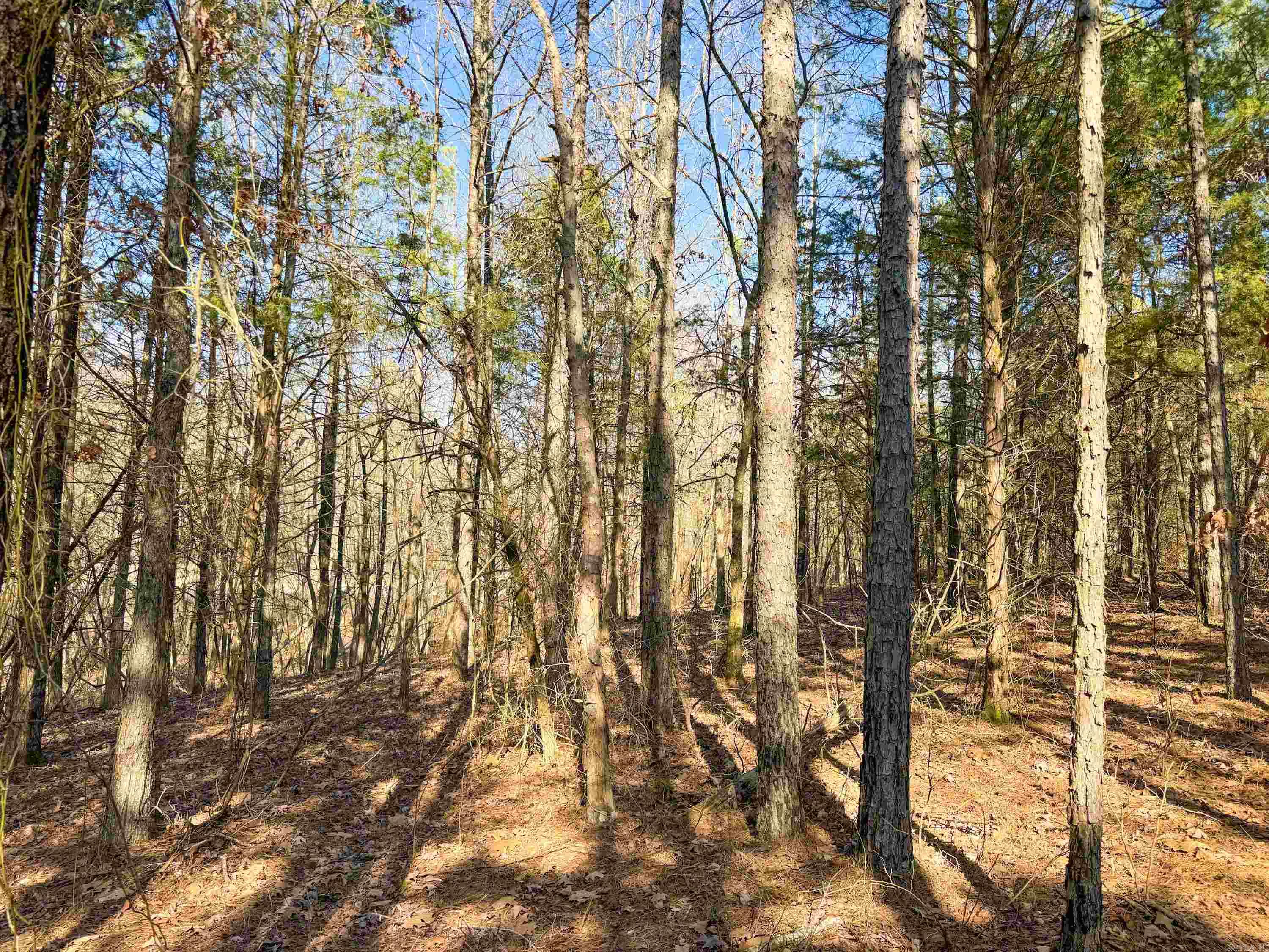 102 Guy  Quitman, AR