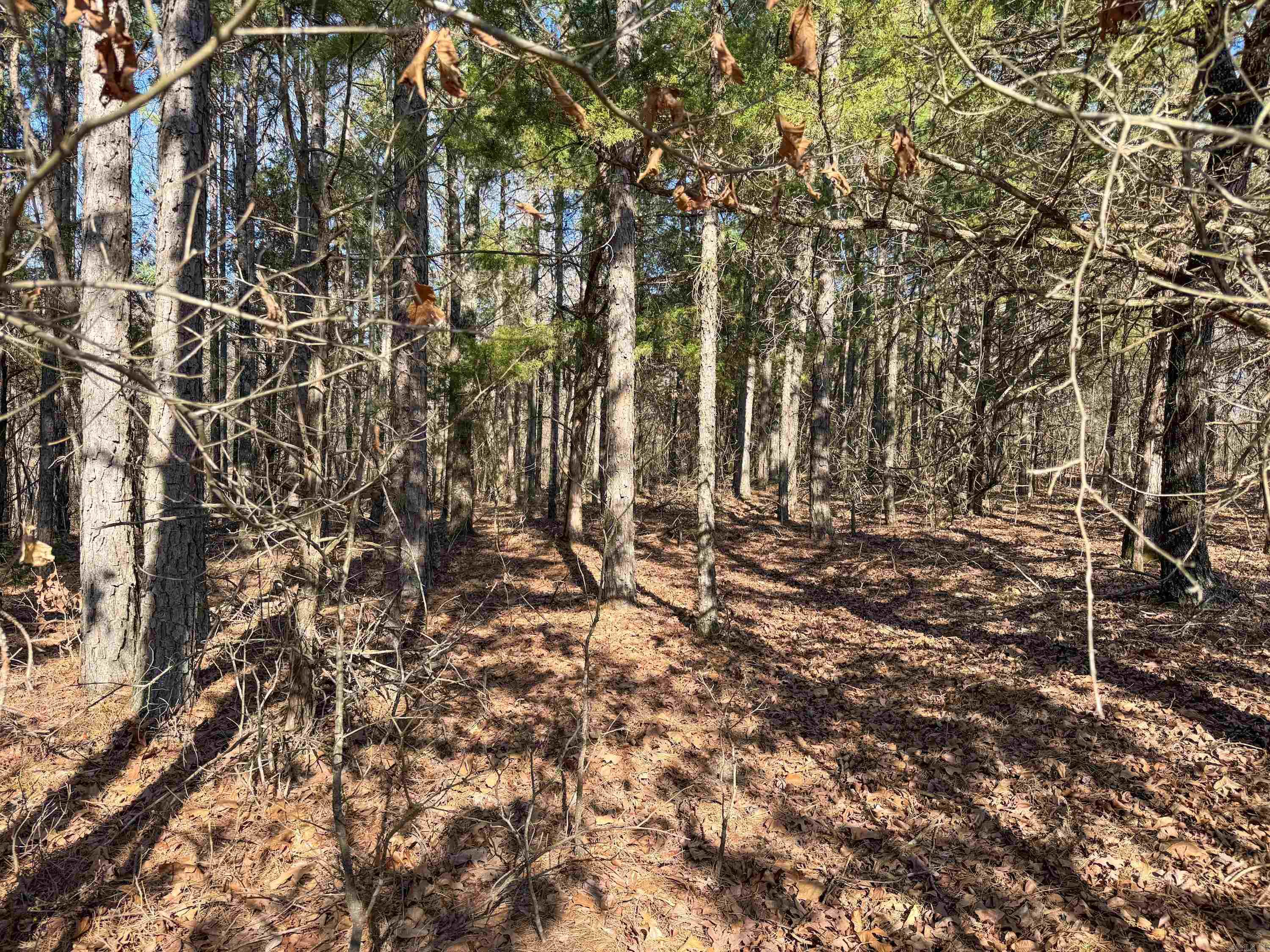 102 Guy  Quitman, AR