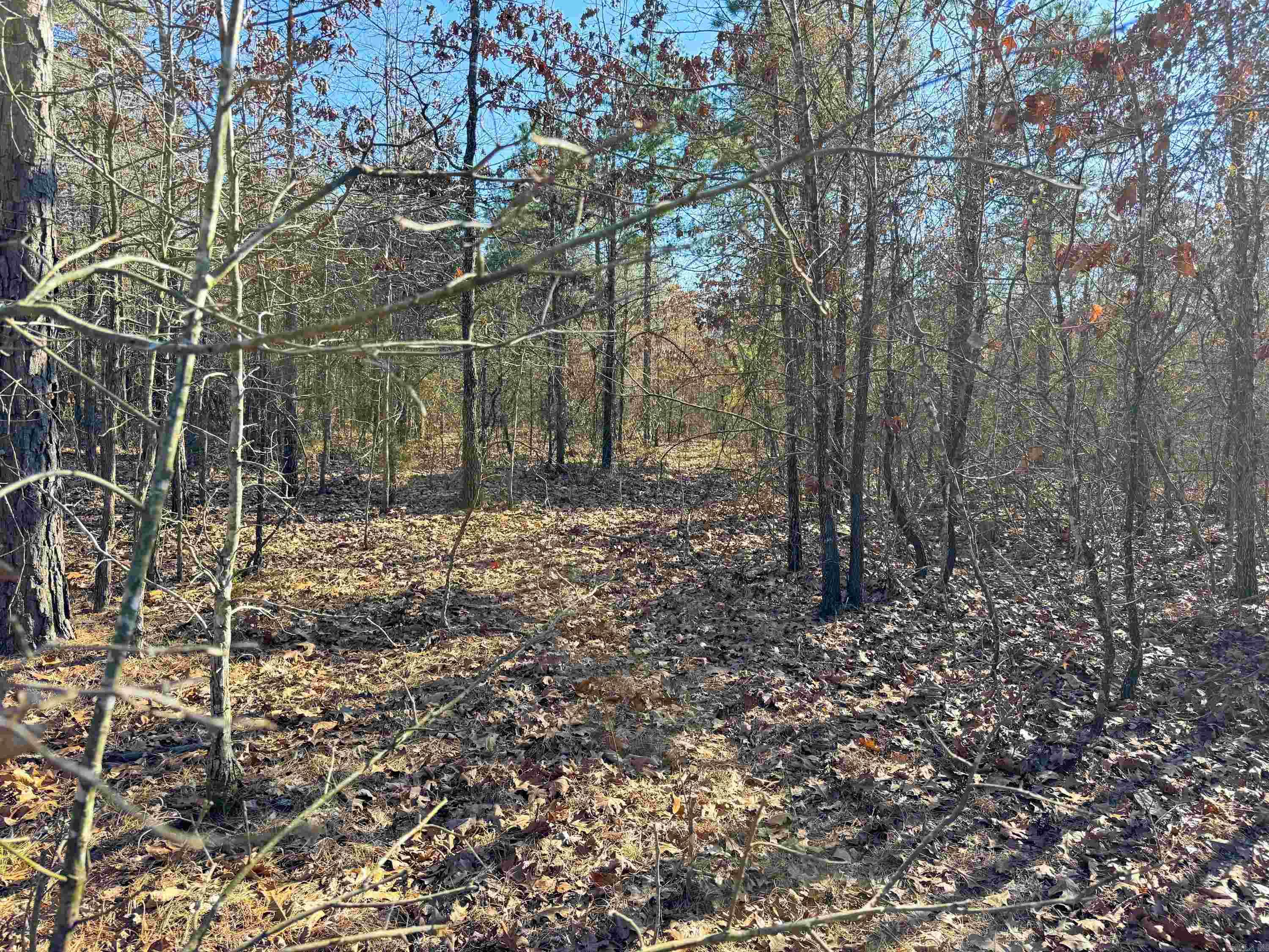 102 Guy  Quitman, AR