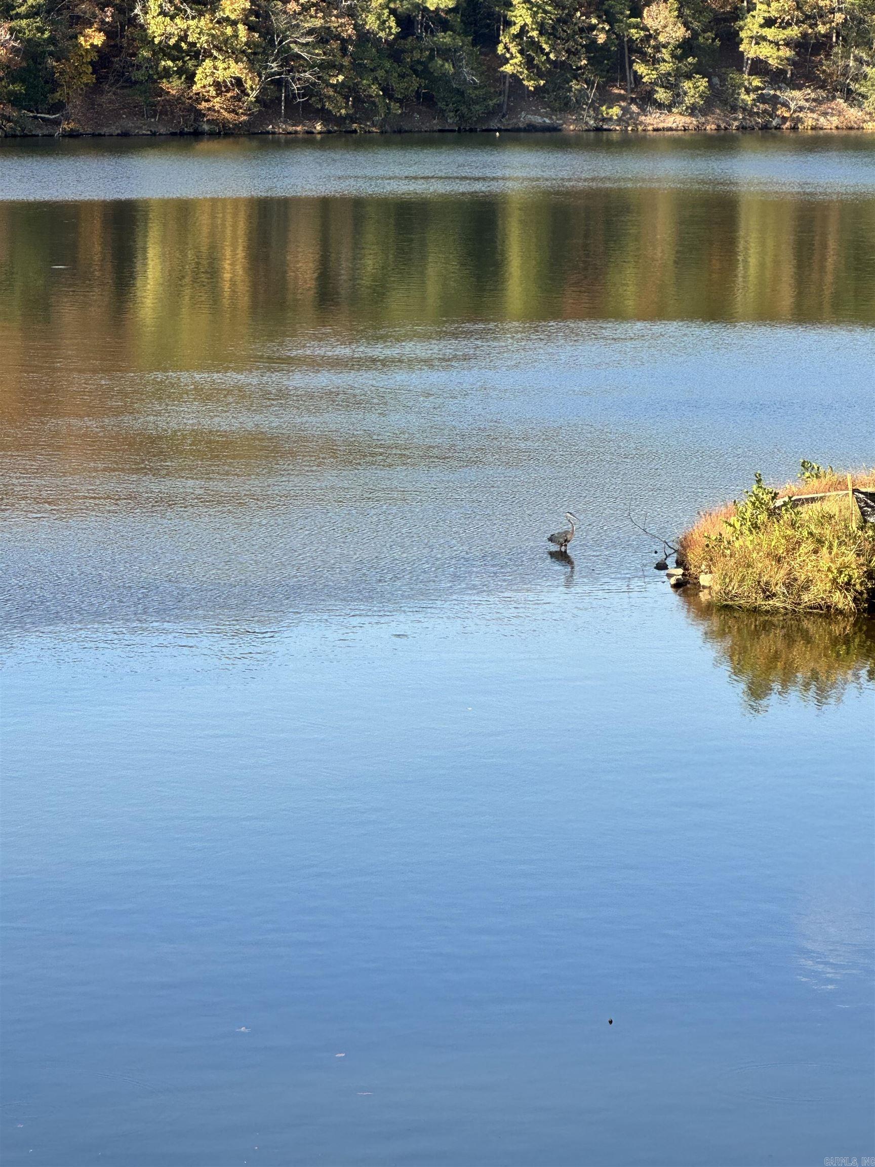 170 Lake Forest Shores  Hot Springs, AR