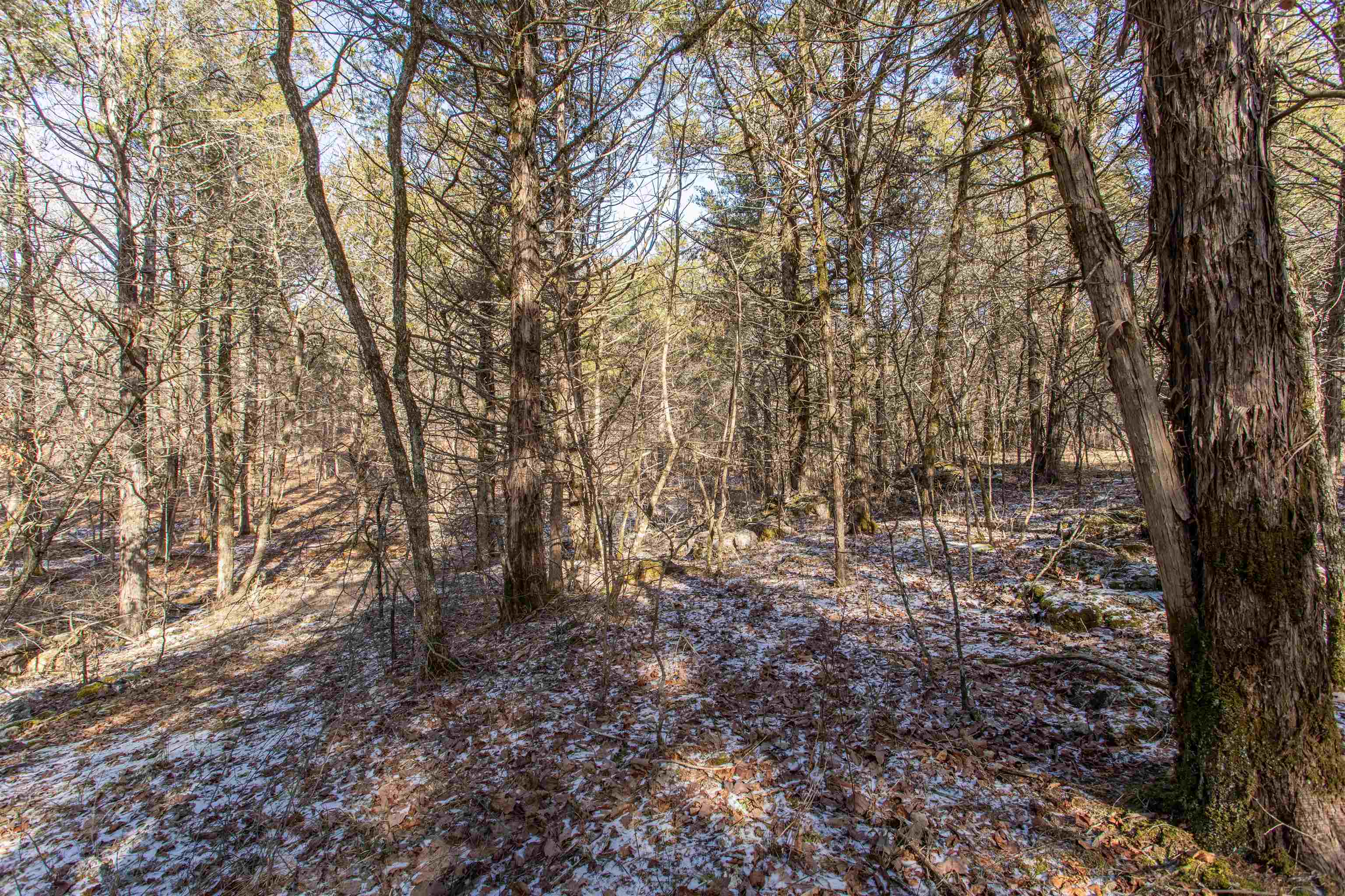 TBD fawn ridge lane  Williford, AR