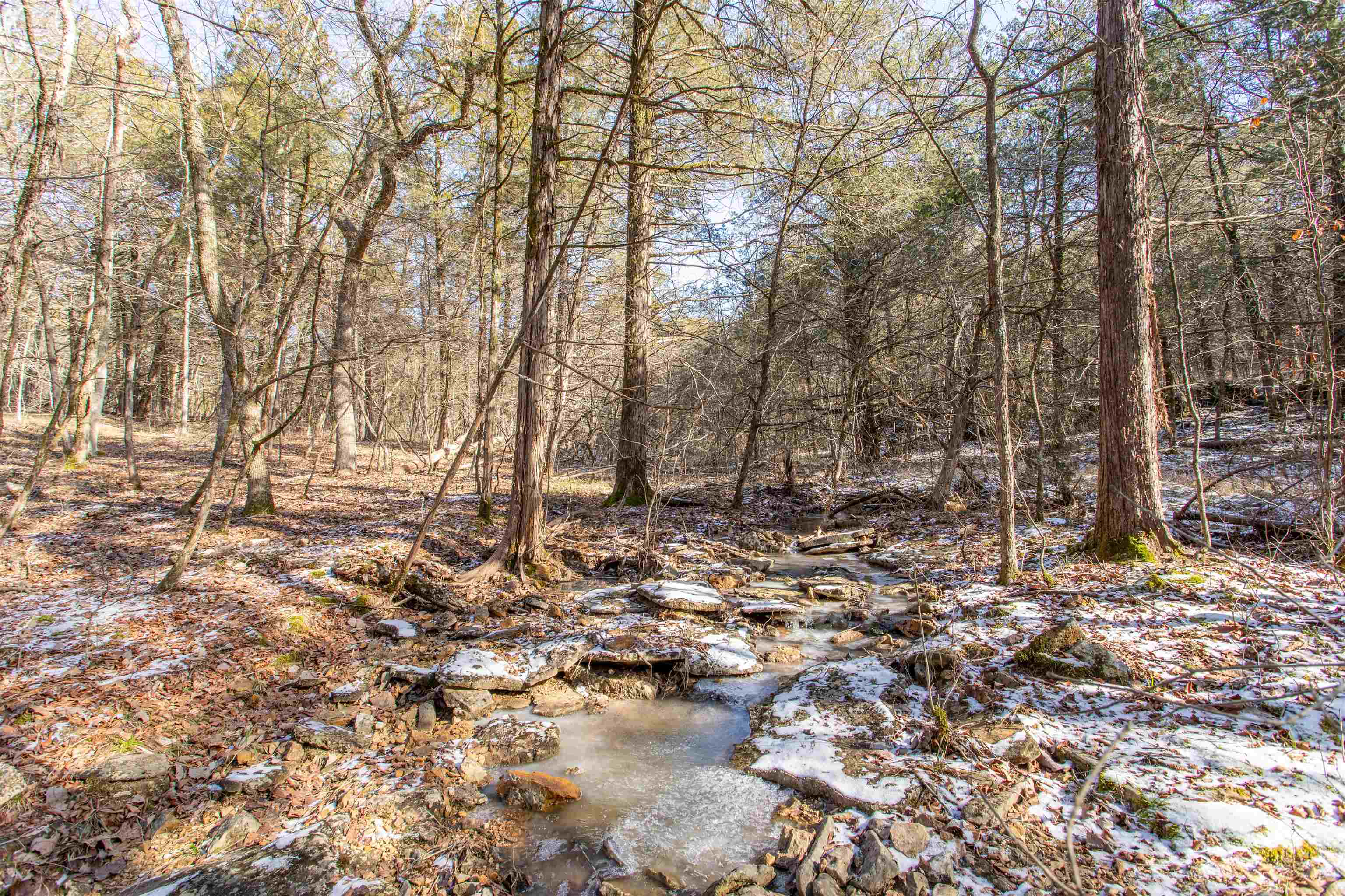 TBD fawn ridge lane  Williford, AR