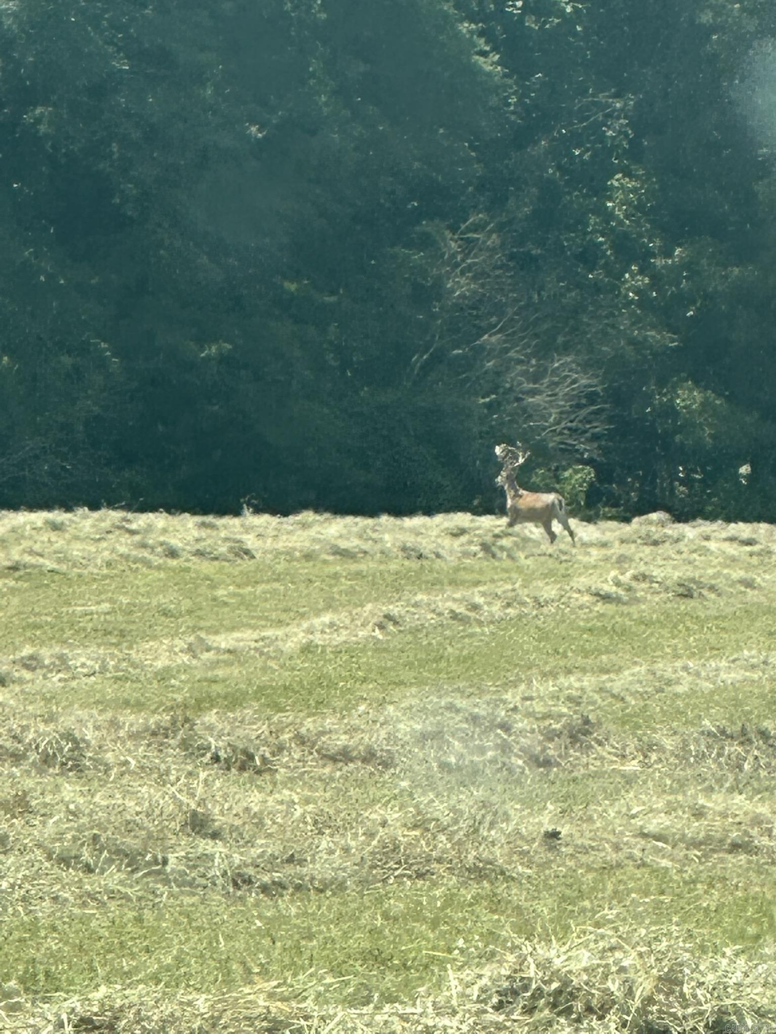 00 Eoff-Conder  Des Arc, AR