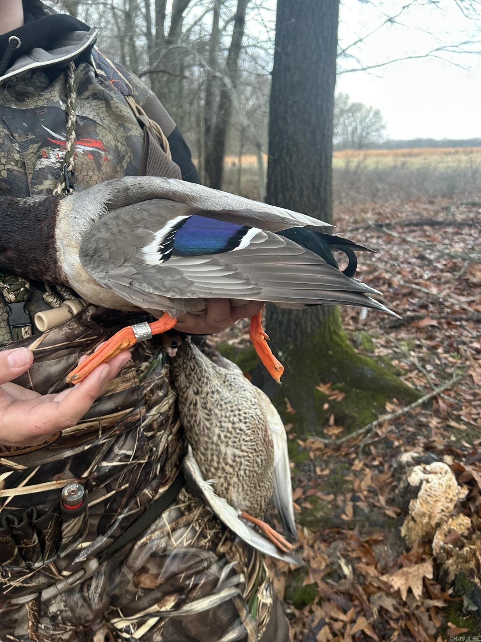 00 Eoff-Conder  Des Arc, AR