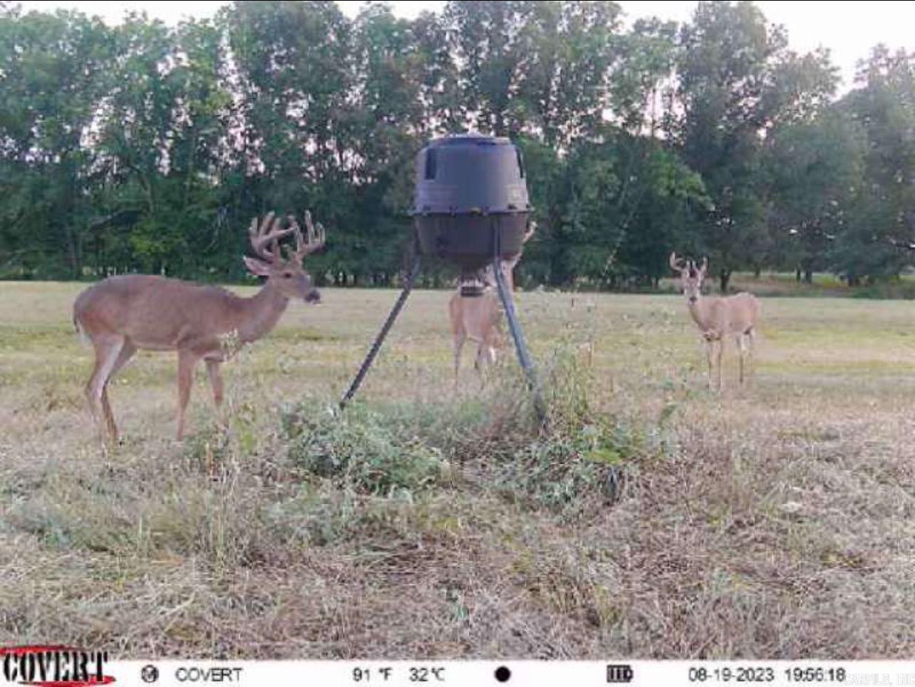 00 Eoff-Conder  Des Arc, AR